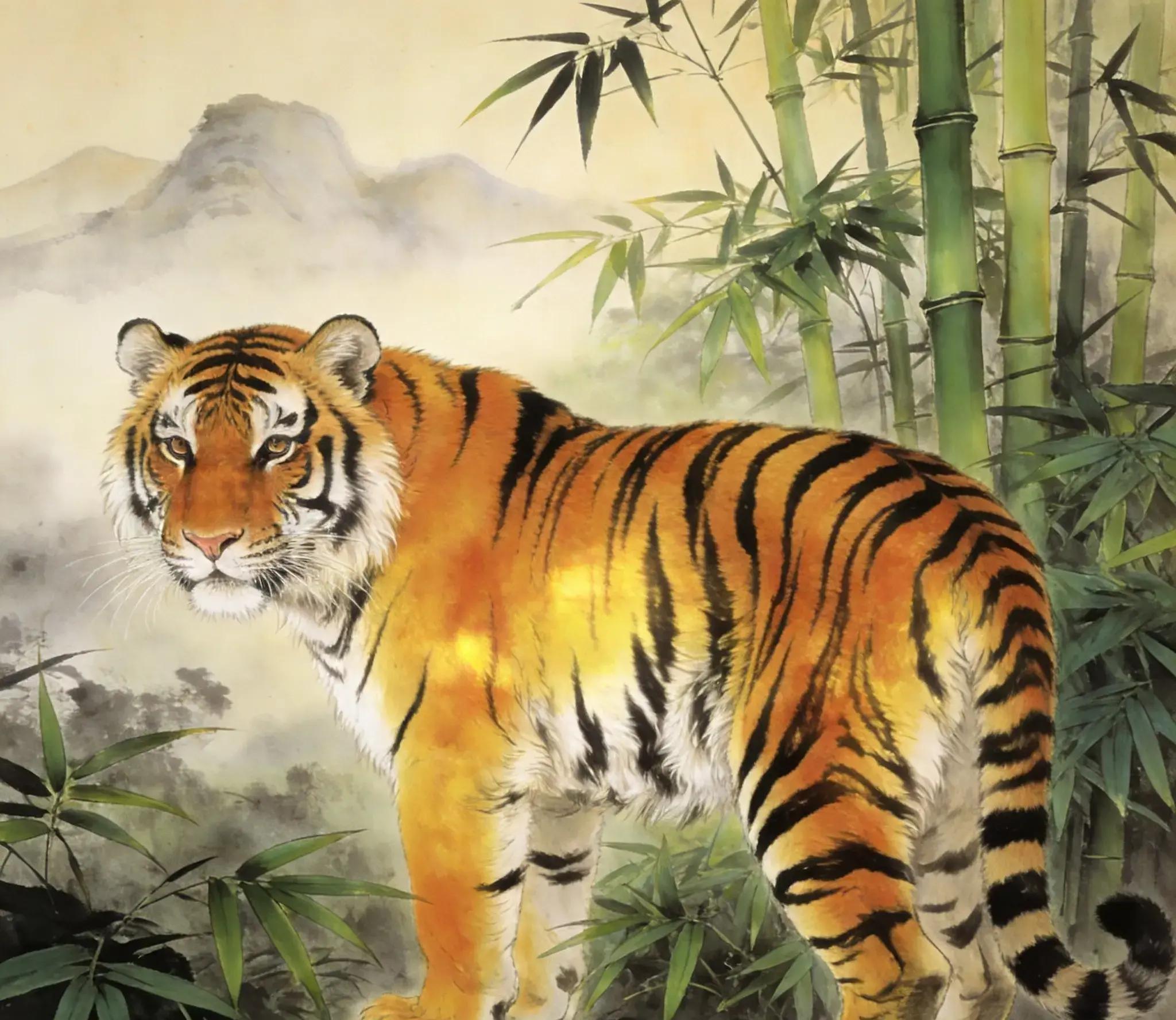 生肖虎24岁运势图片男(生肖虎24岁运势图片男生)