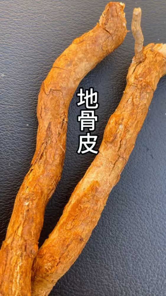 枸杞全身都是宝,春采枸杞叶,名曰天精草;夏菜枸杞花名曰长生草,健康养生,中医药,好看视频