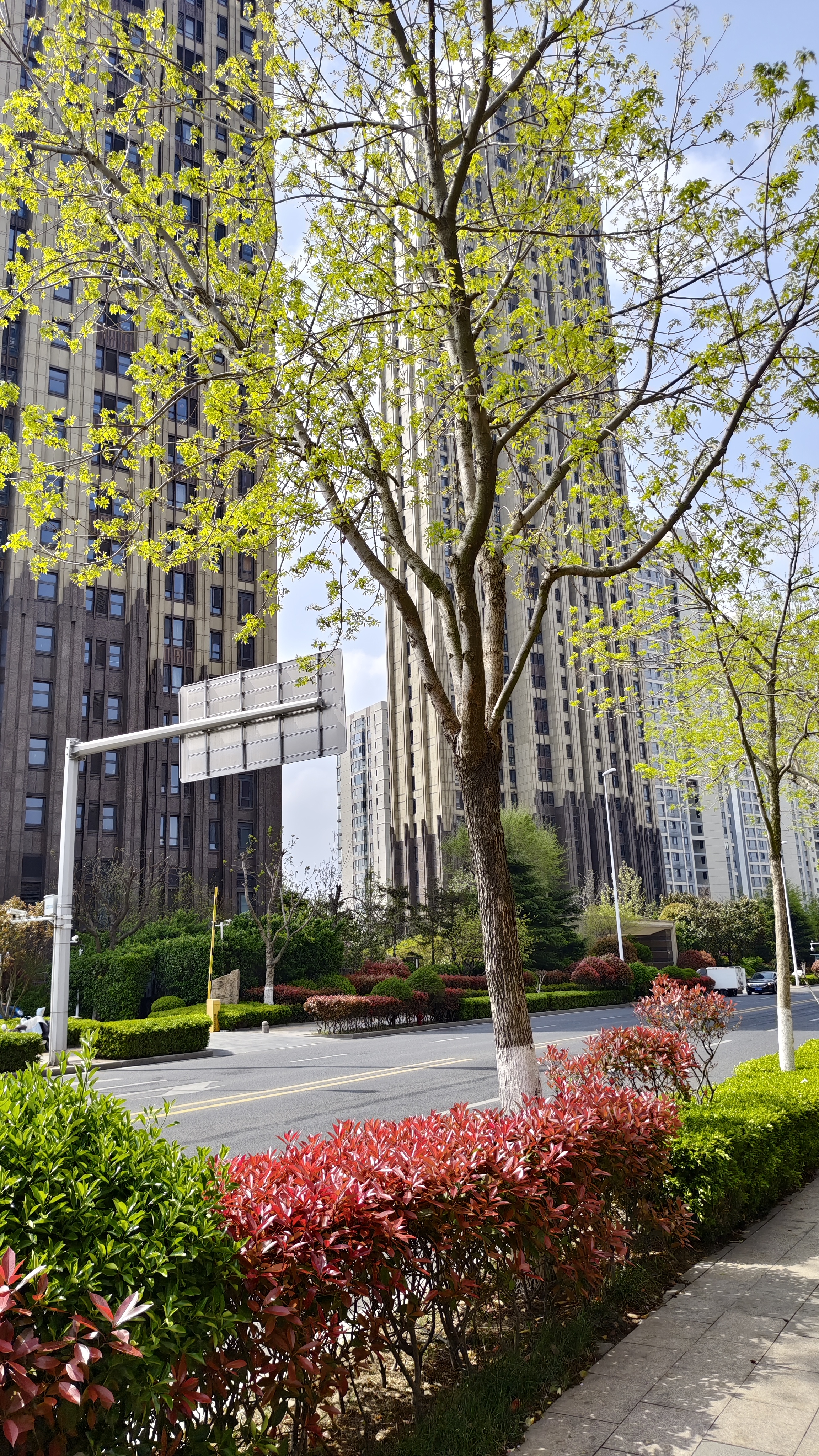 我还得继续埋怨我妈的决定了!