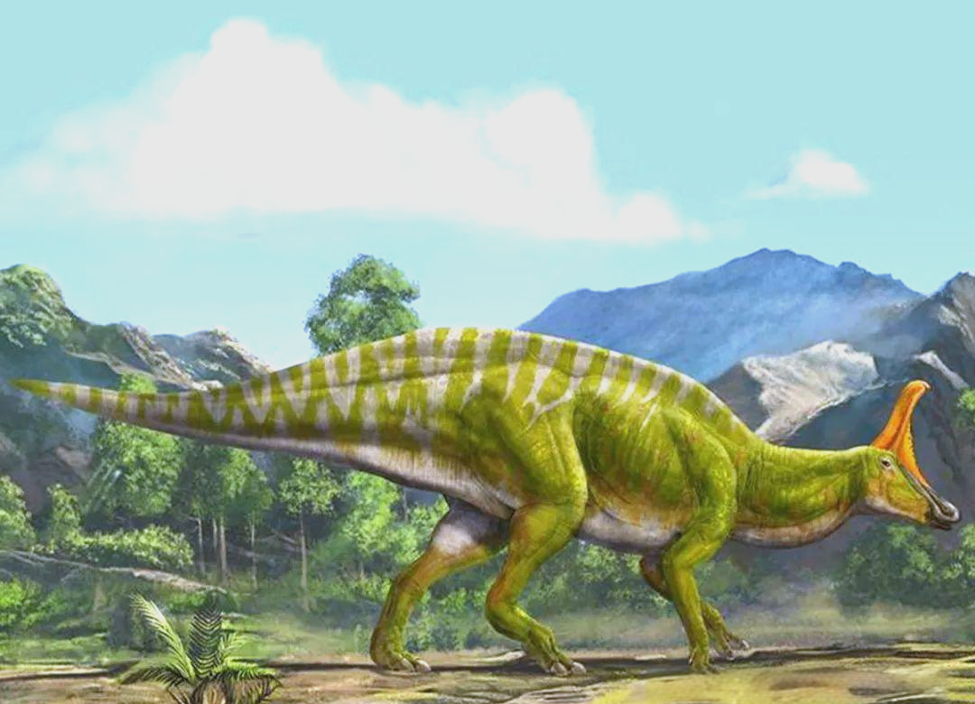 棘鼻青岛龙头上长有巨大头冠的恐龙