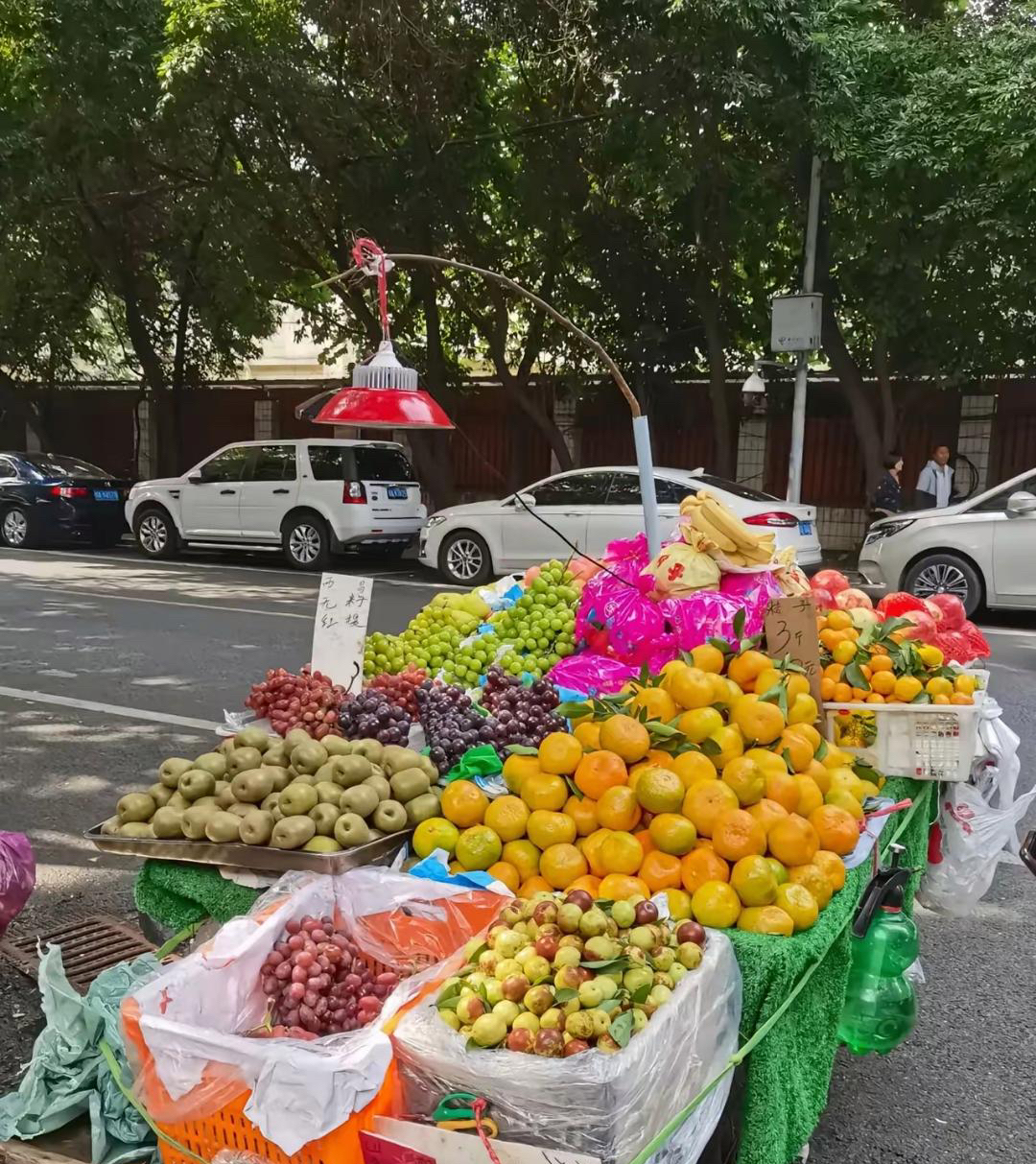 我公公可真是厉害,都60岁的人了,每个月卖水果能挣一万多呢