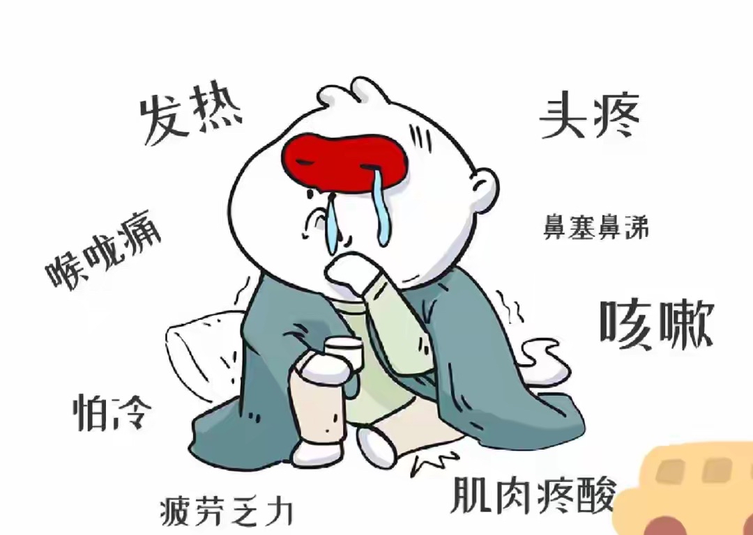 舒舒服服睡一觉,结果半夜就开始不对劲,鼻子痒痒的,接着就开始流鼻涕