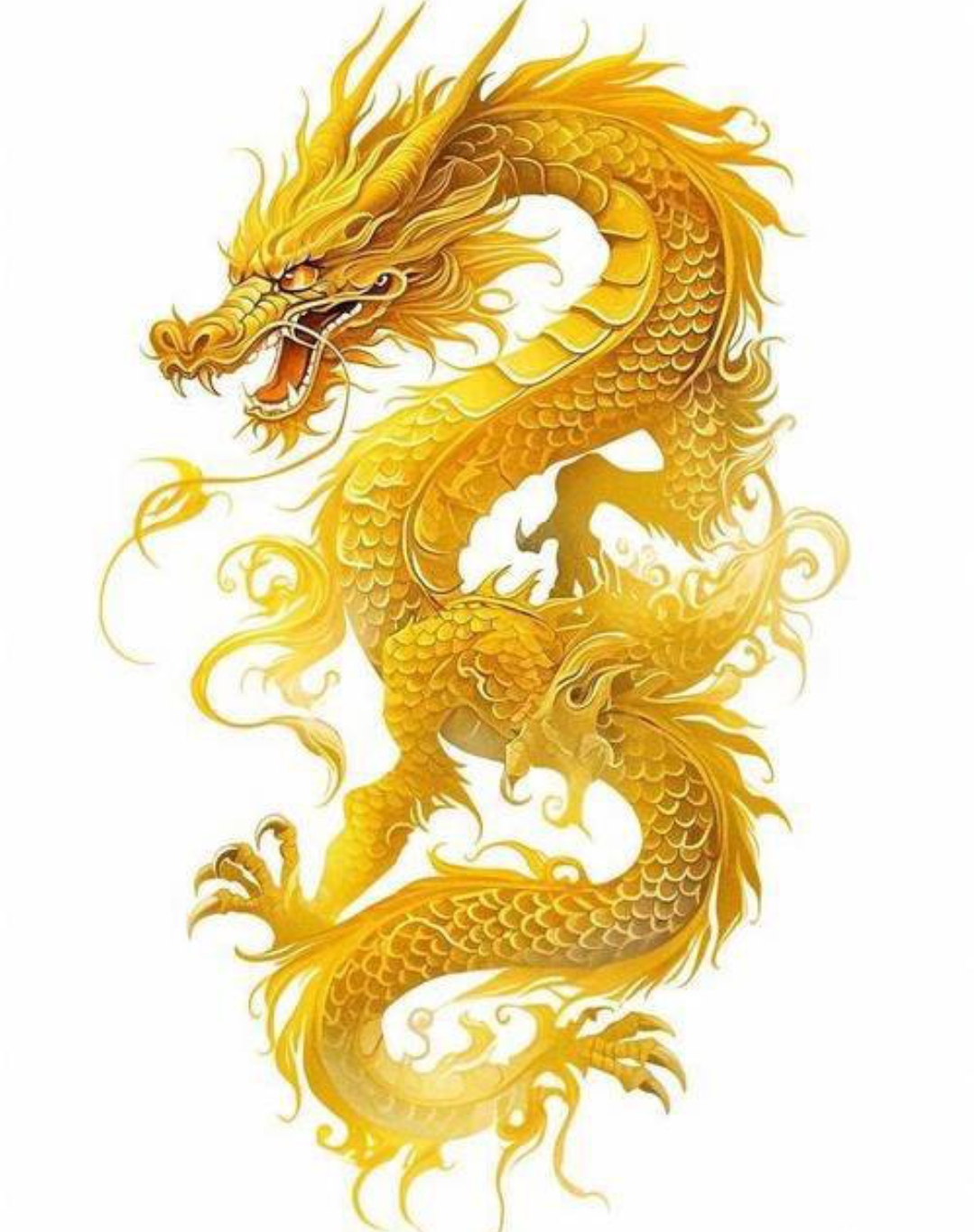 青龙得水生肖运势(青龙得水喜气生)