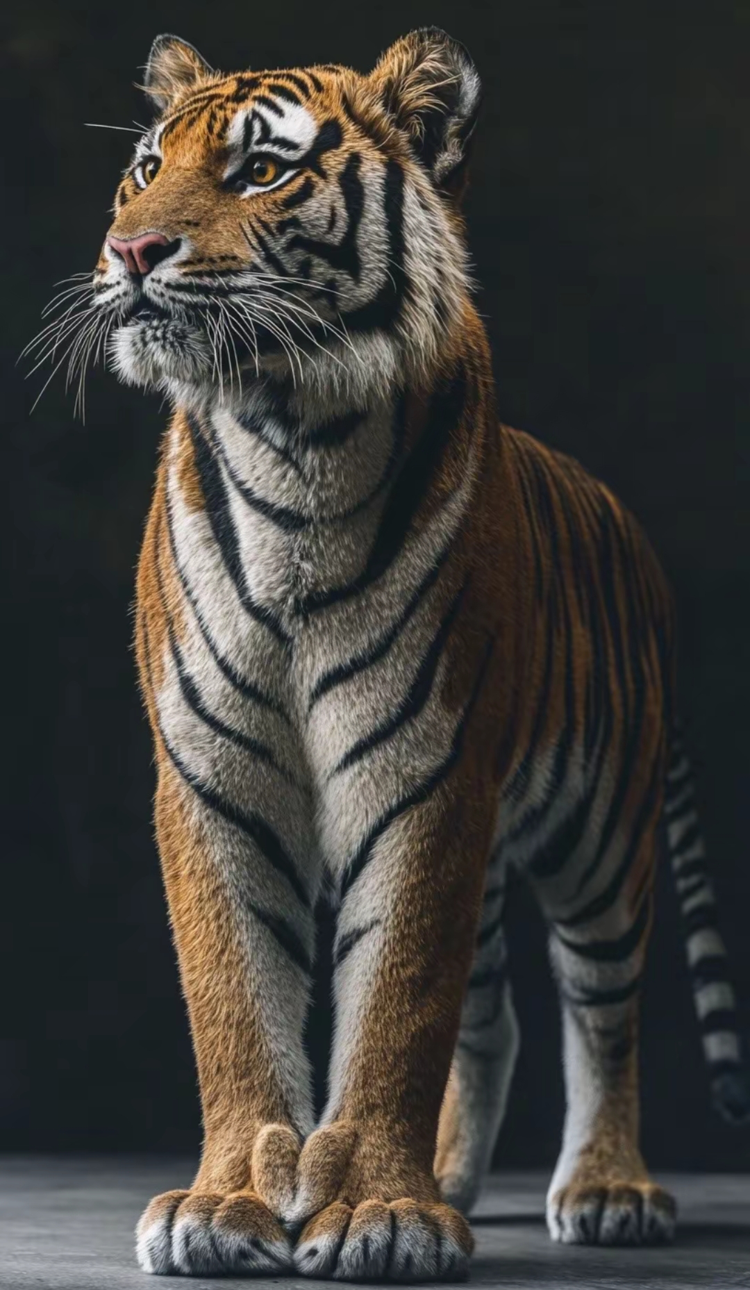 重感情的生肖运势如何(重感情的人是怎样的人)