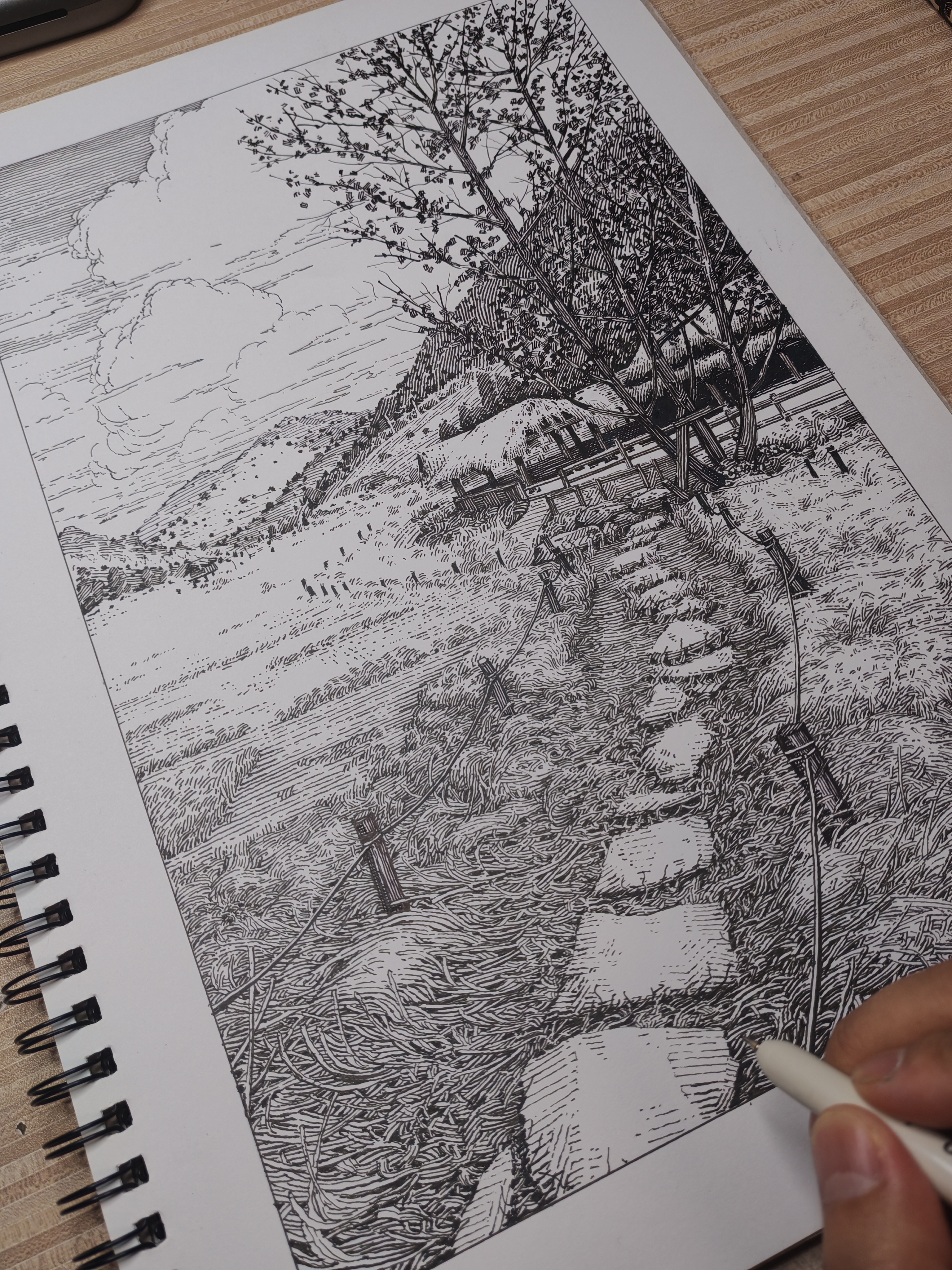 杂草丛生系列 研究草地表现画法