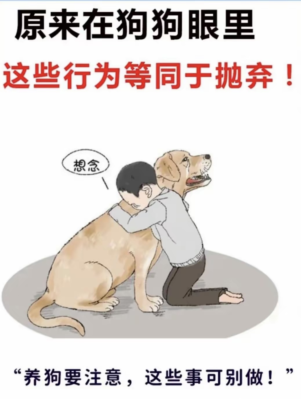 虐待或惩罚狗狗 4.让其他人来喂养 5.突然带别的狗回家 6
