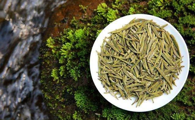 平阳黄汤茶:浙南山间的"三黄"传奇