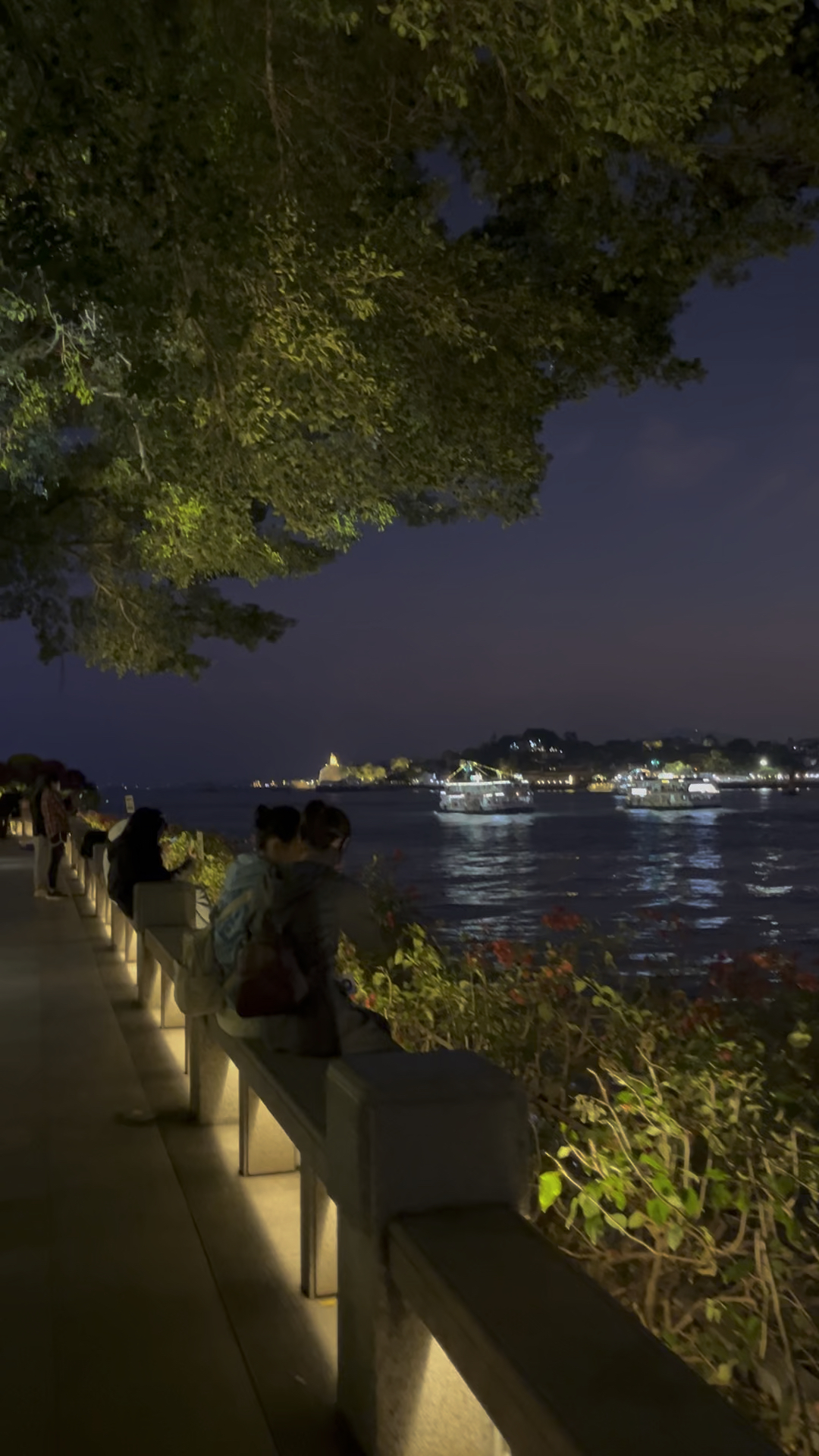 夜晚坐在厦门海边看风景,好舒服,对面就是鼓浪屿