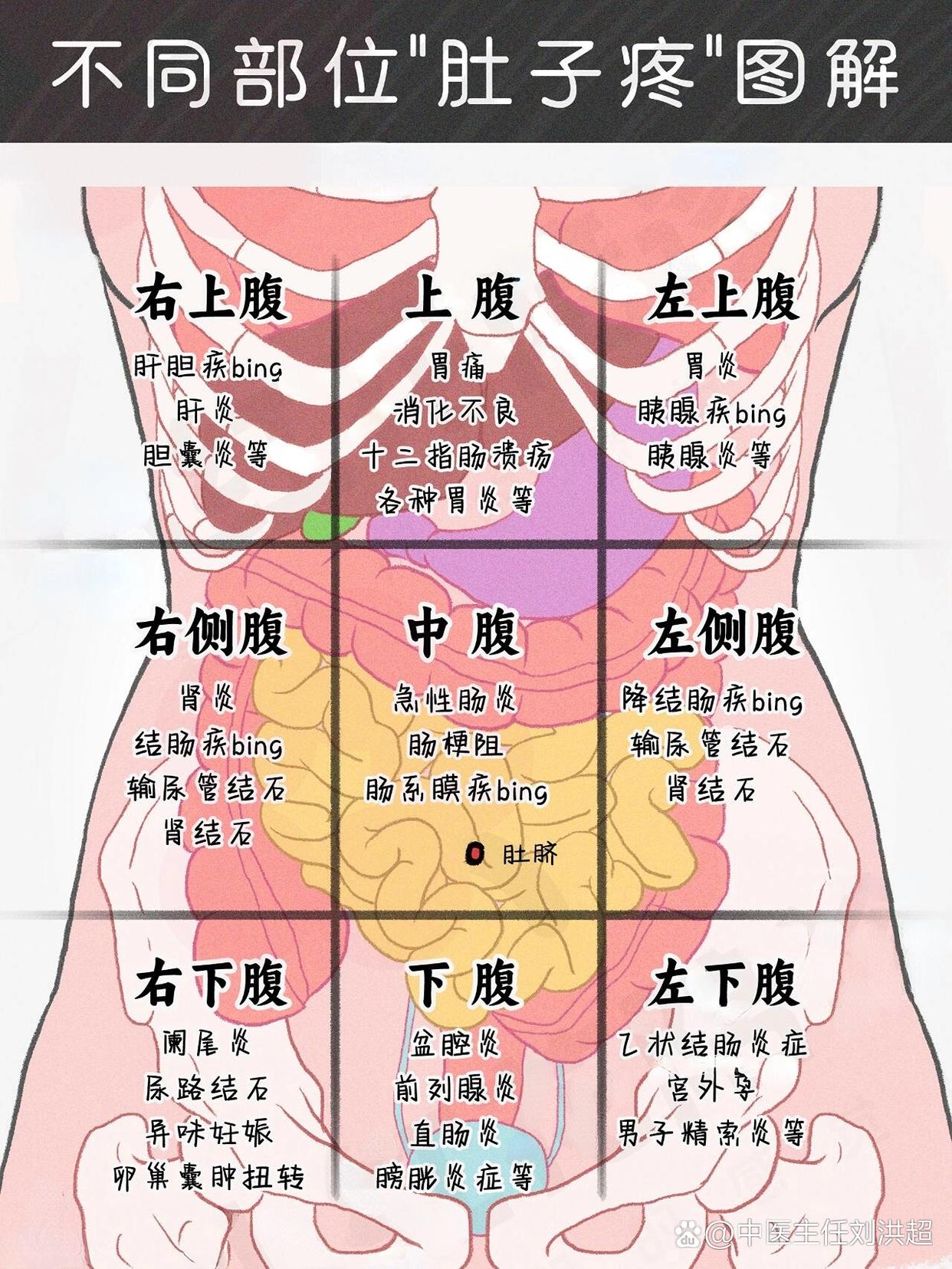 中医一张图讲明白! 看看你有自己哪个部位疼过