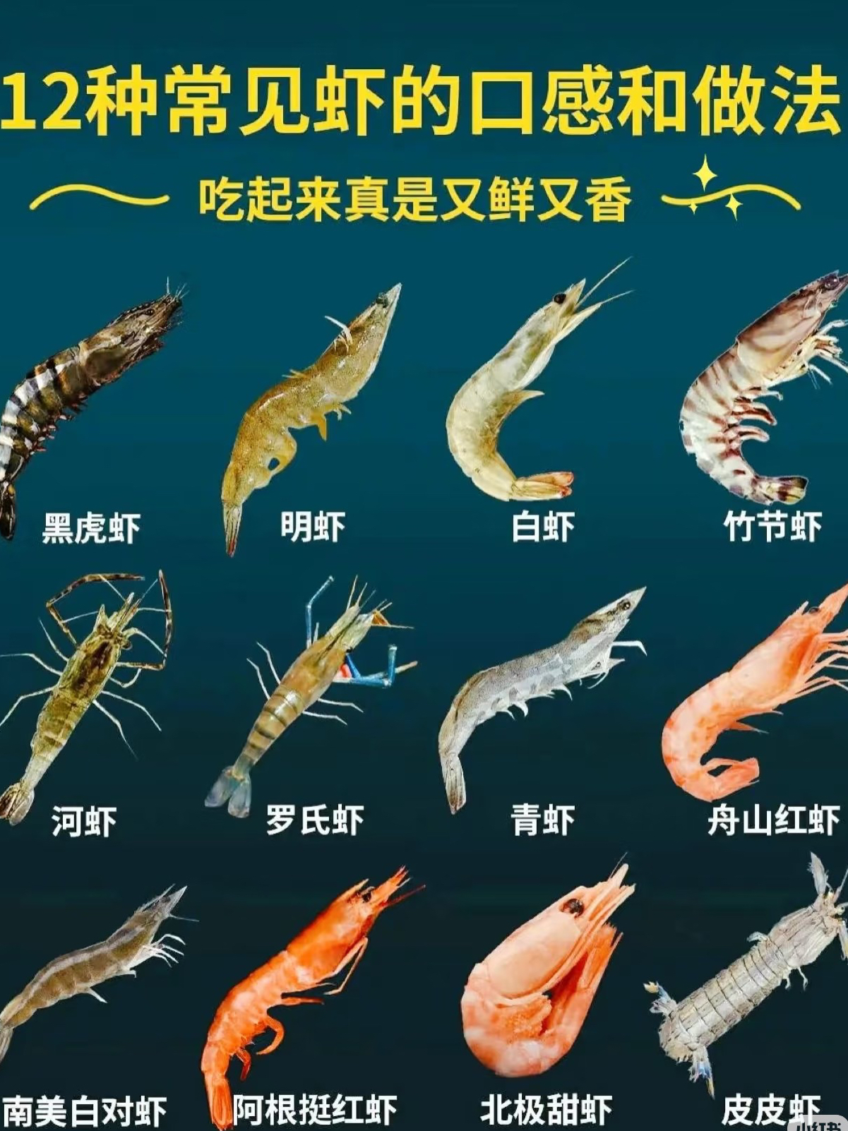 12种虾的神仙吃法+口感测评吃货必备 作为一个虾料理狂魔今天整理了