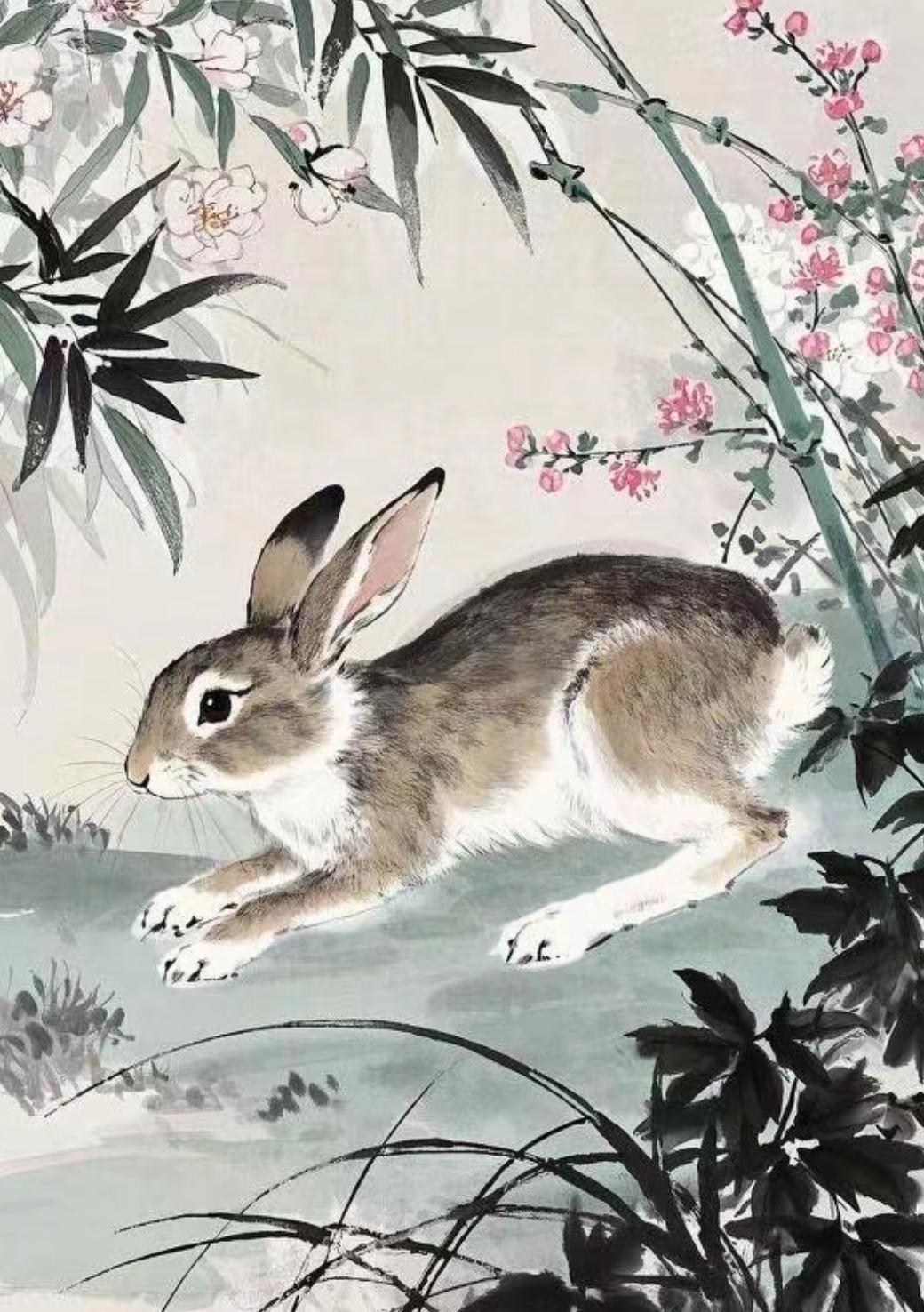 芒种过后生肖兔的运势(2021年芒种后出生的宝宝好吗)