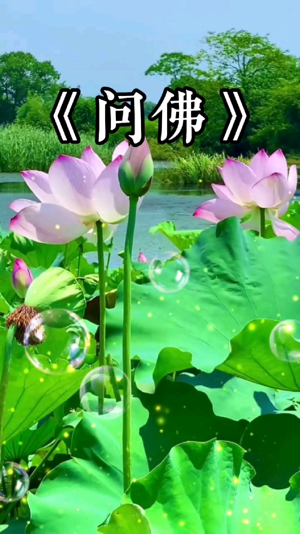 感人音乐歌曲《问佛》