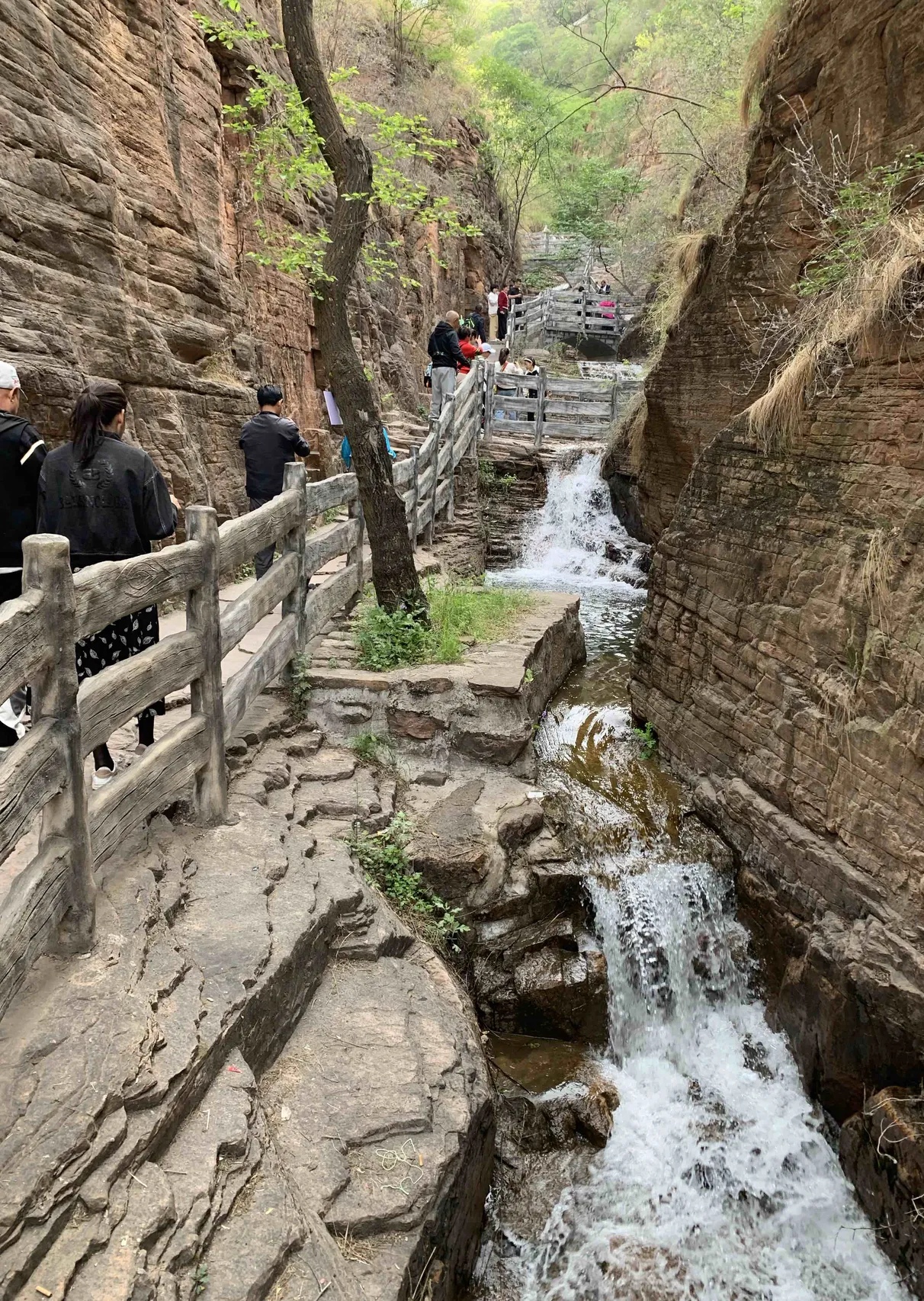 5·1节在邯郸京娘湖旅游时,我爬山不慎崴脚,疑似骨折后拨打景区求助