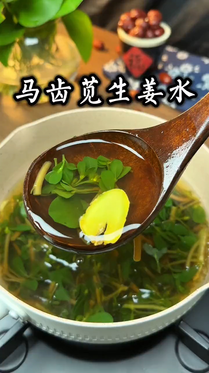 马齿苋和它是天生一对,搭配煮水喝,养身体,乐生活,安稳过春天
