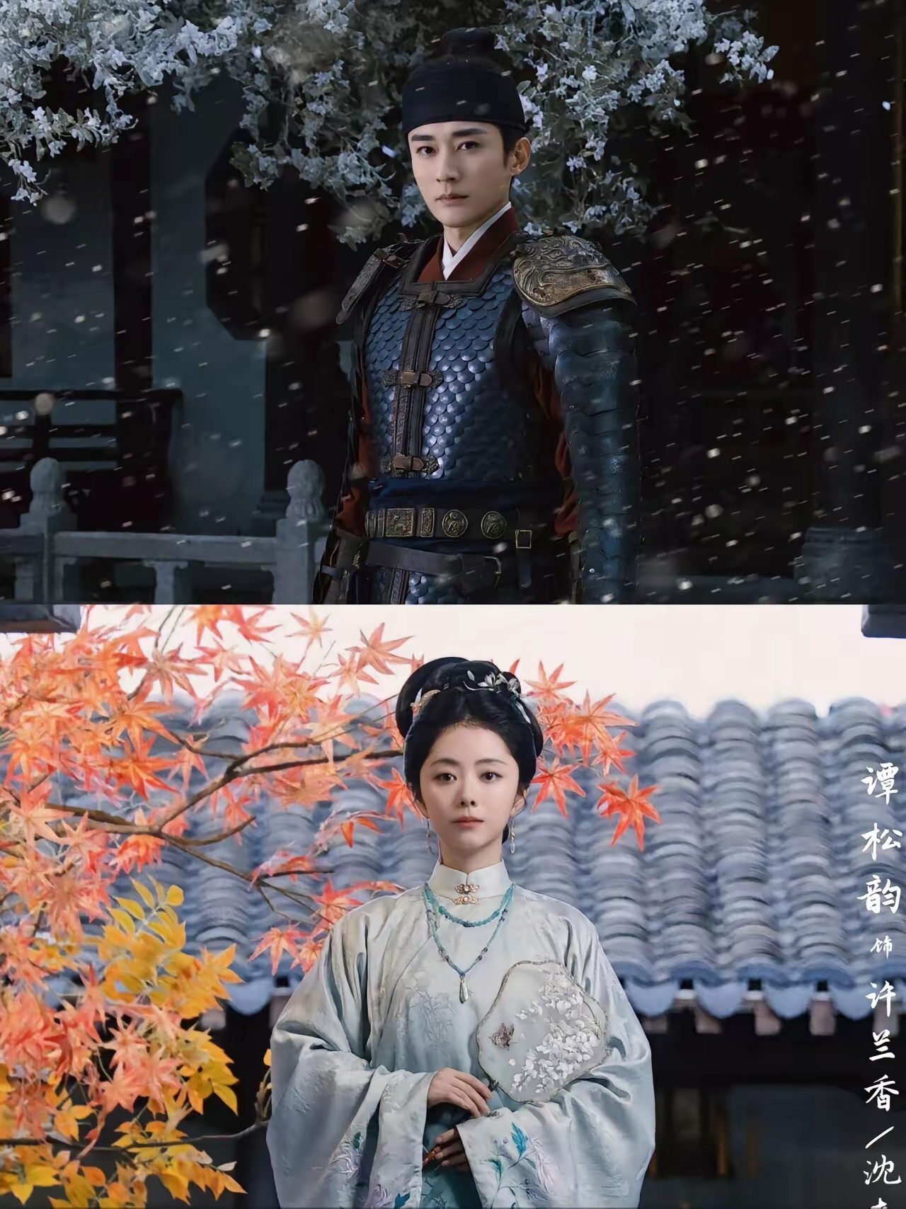 饰在大婚那天突然遭遇全家被杀的灾难她只好冒充死去的丫鬟许兰香