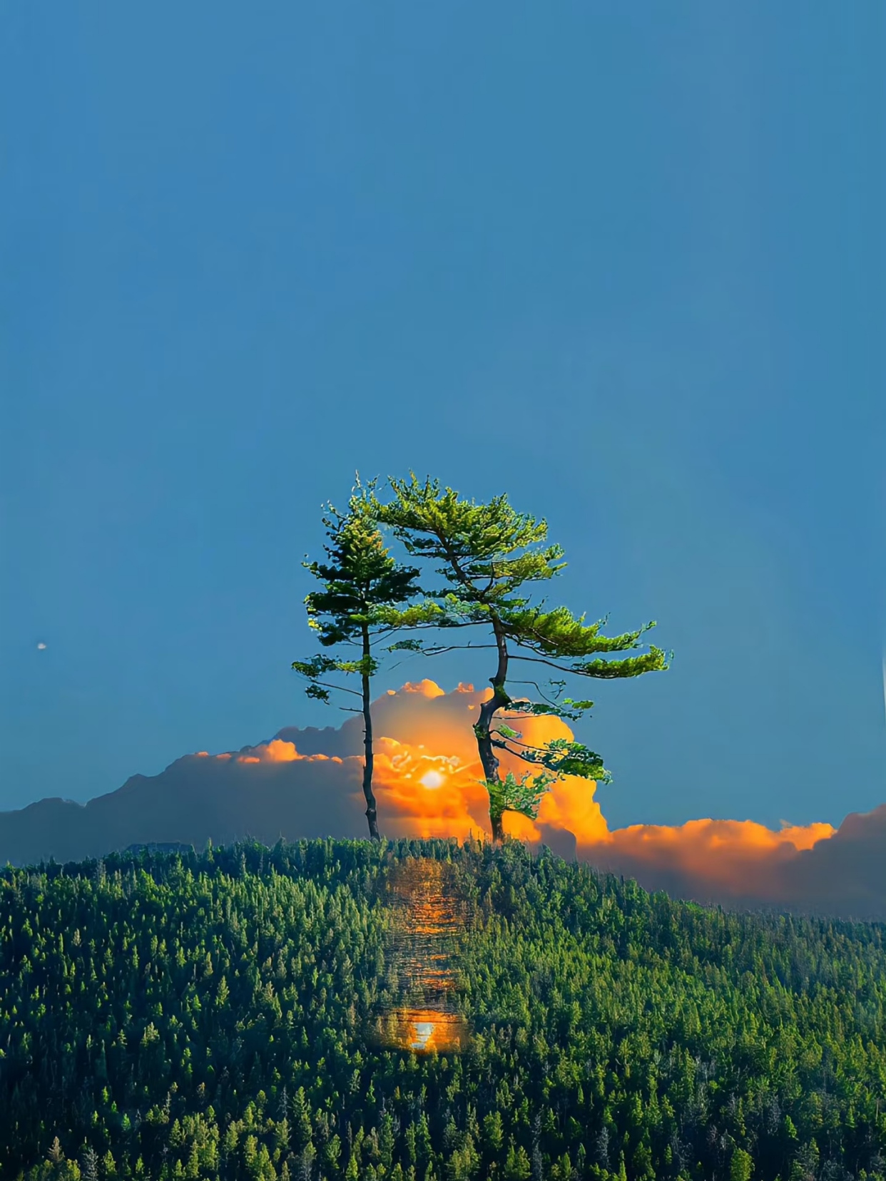 适合发朋友圈的句子,句句经典,触动人心!