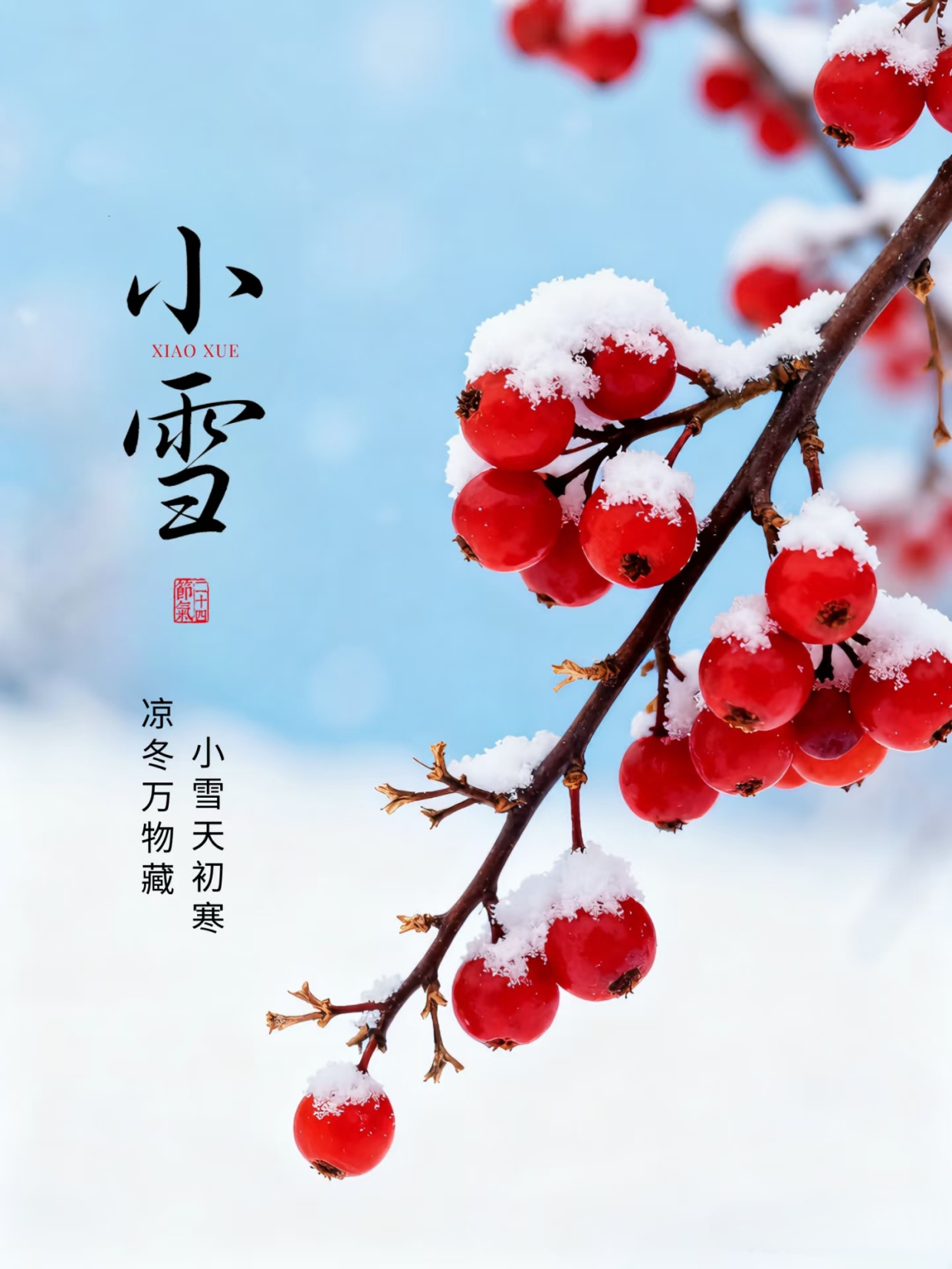 2025小雪节气发的唯美暖心祝福语句子!