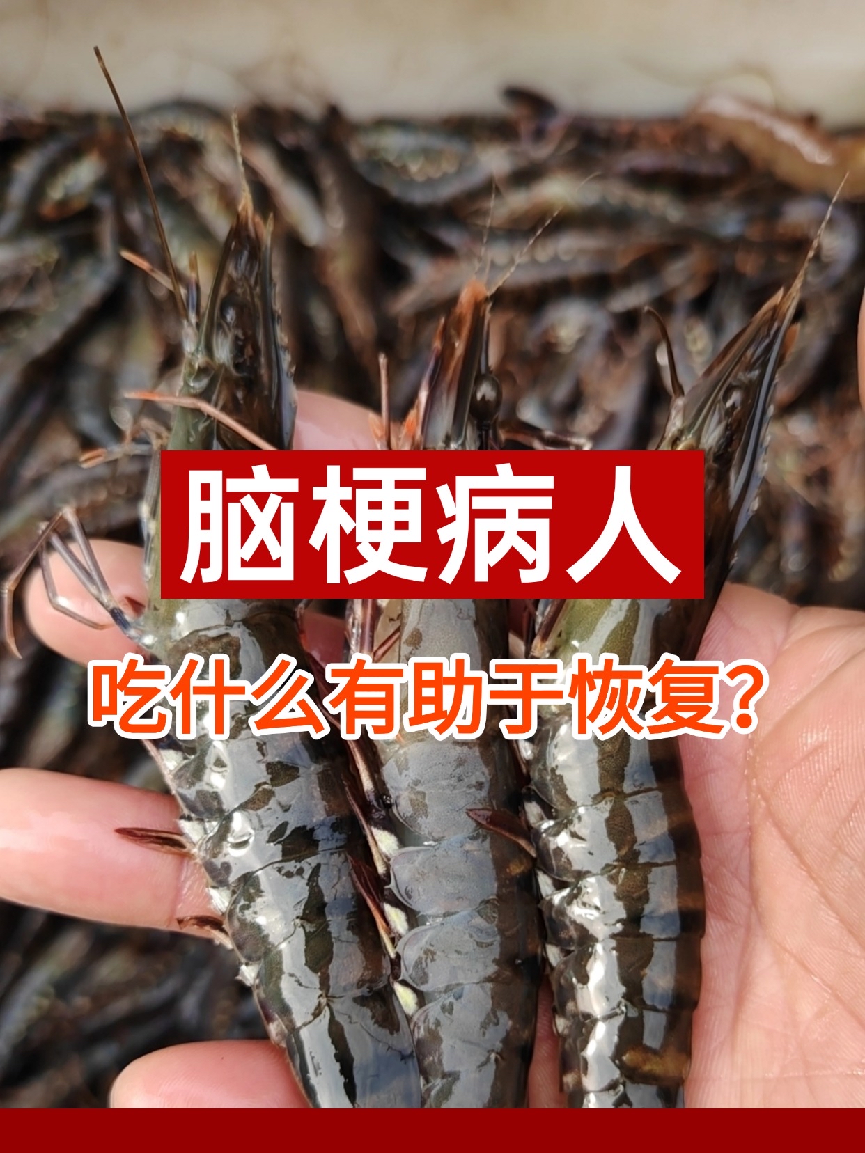 精神病人吃什么食物好一点(精神病人可以吃什么东西调理身体)