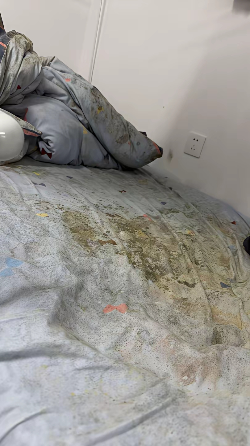 新学期开学,回到宿舍的第一天,把我惊呆了,一个假期的功夫,床上的铺盖