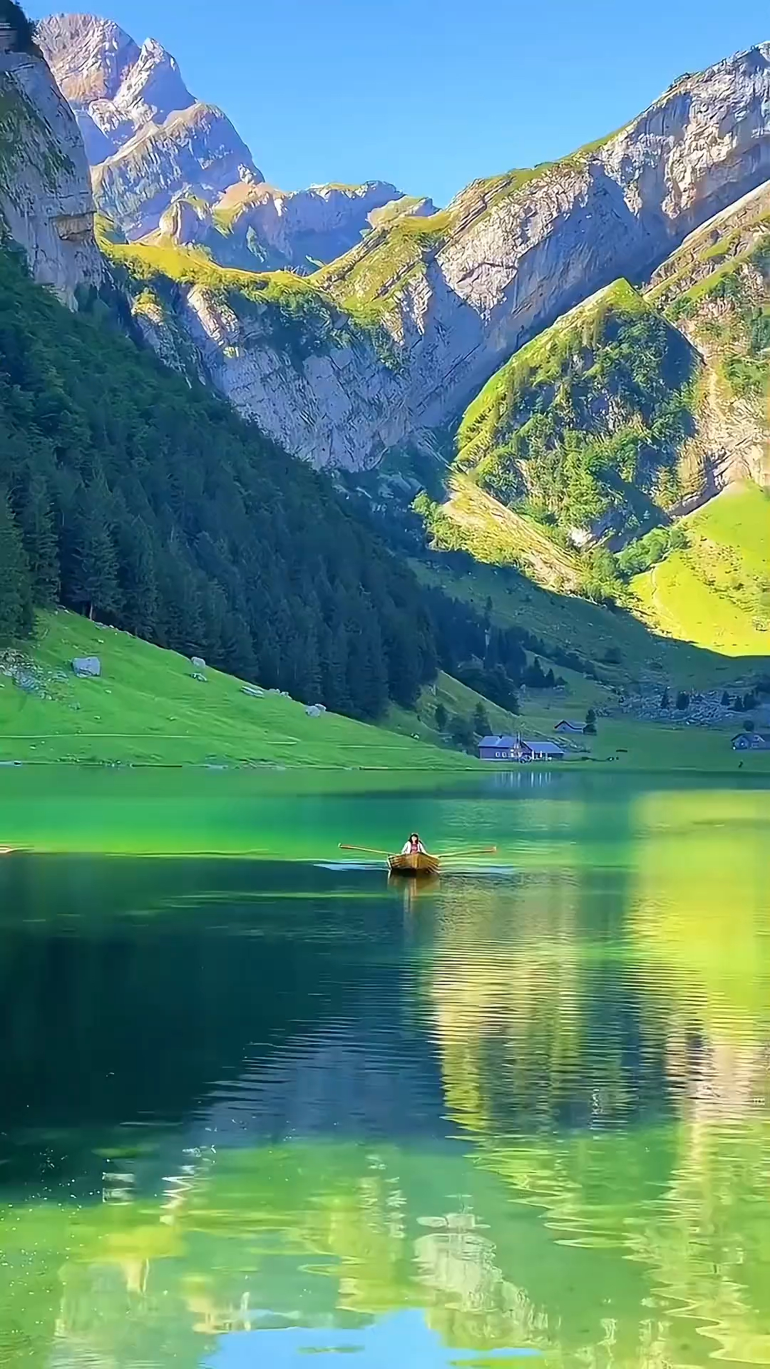 国外美女和风景展示