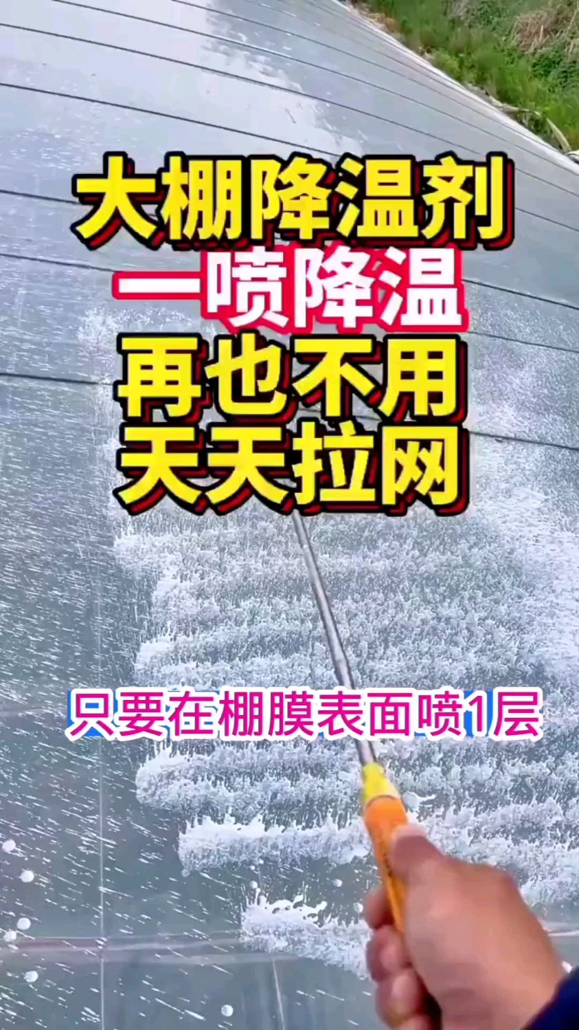 高温天气大棚怎样降温今日情况