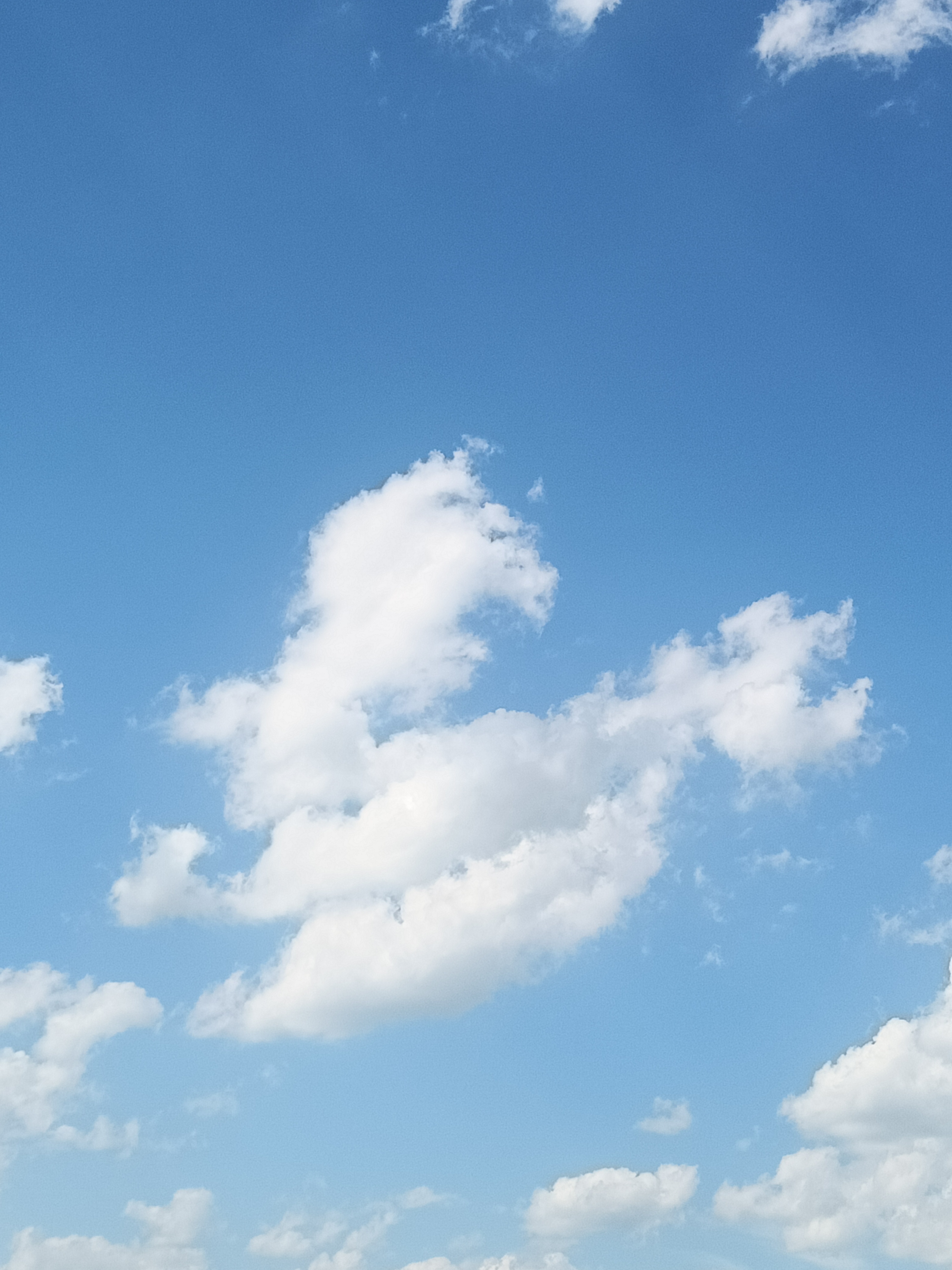 欲上长空云影厚风寒月暗雁难求