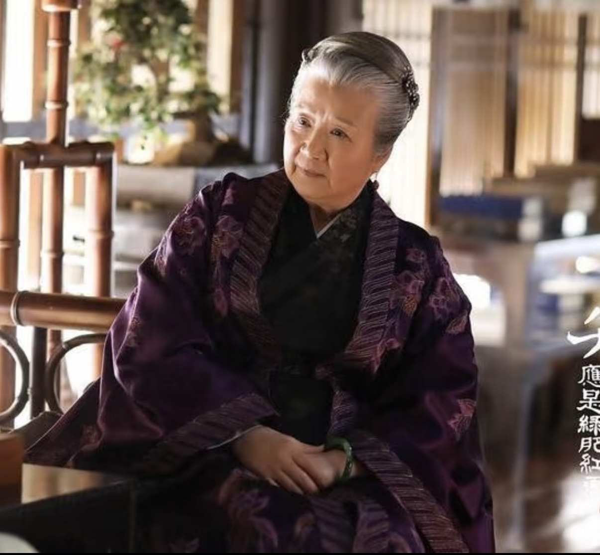 盛老太太:高洁智慧的不朽典范