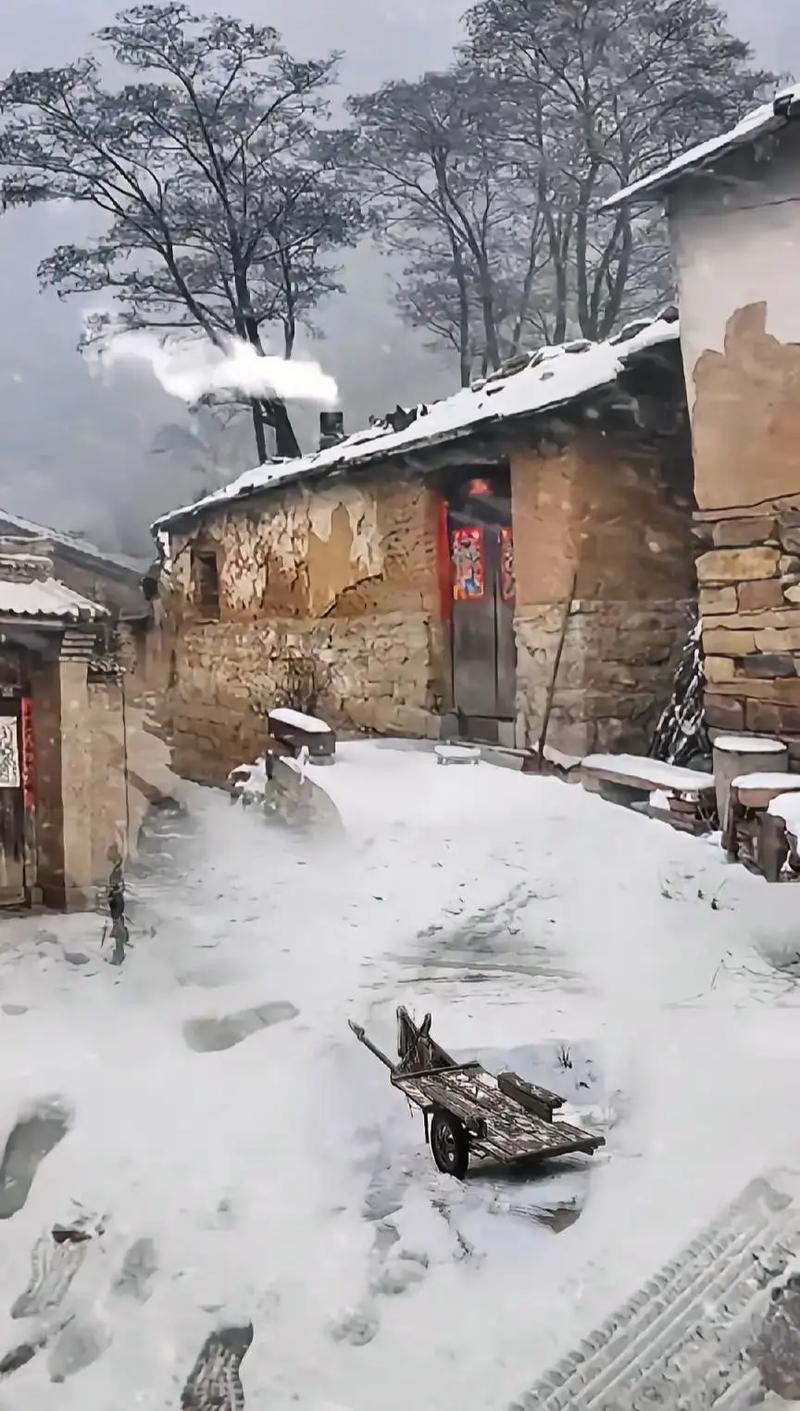 村子里,错落分布着土坯房与茅草屋