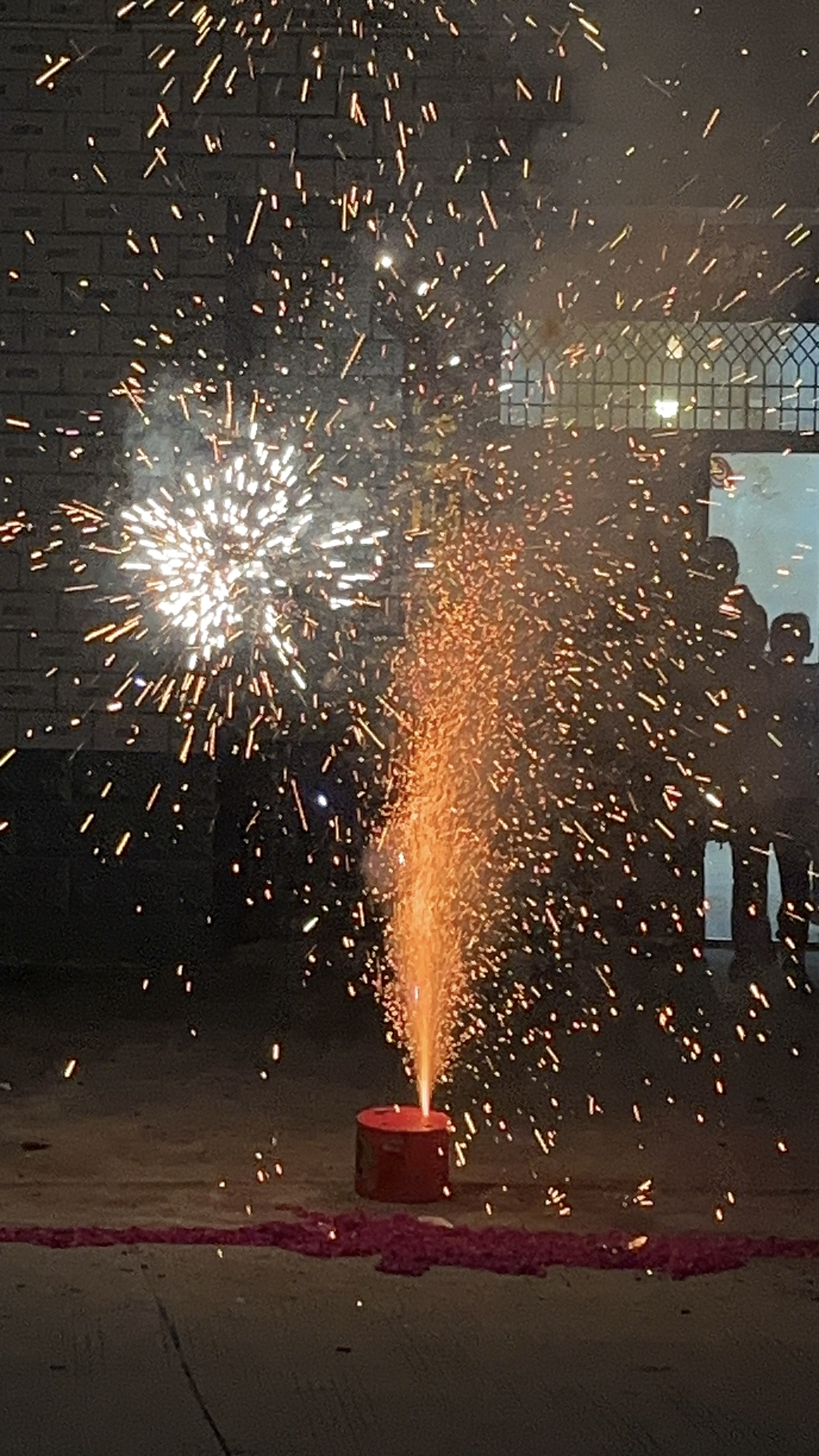 夜空被一束束烟花瞬间点亮,先是橙黄的光点飞速蹿升,"砰"的一声炸开