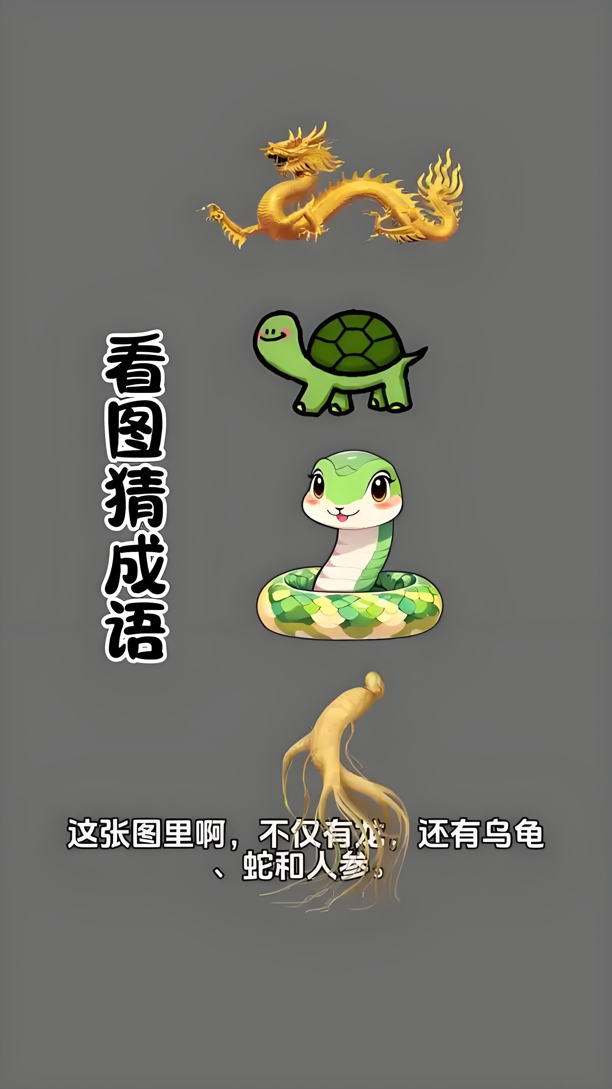 看图猜成语,小乌龟好可爱!