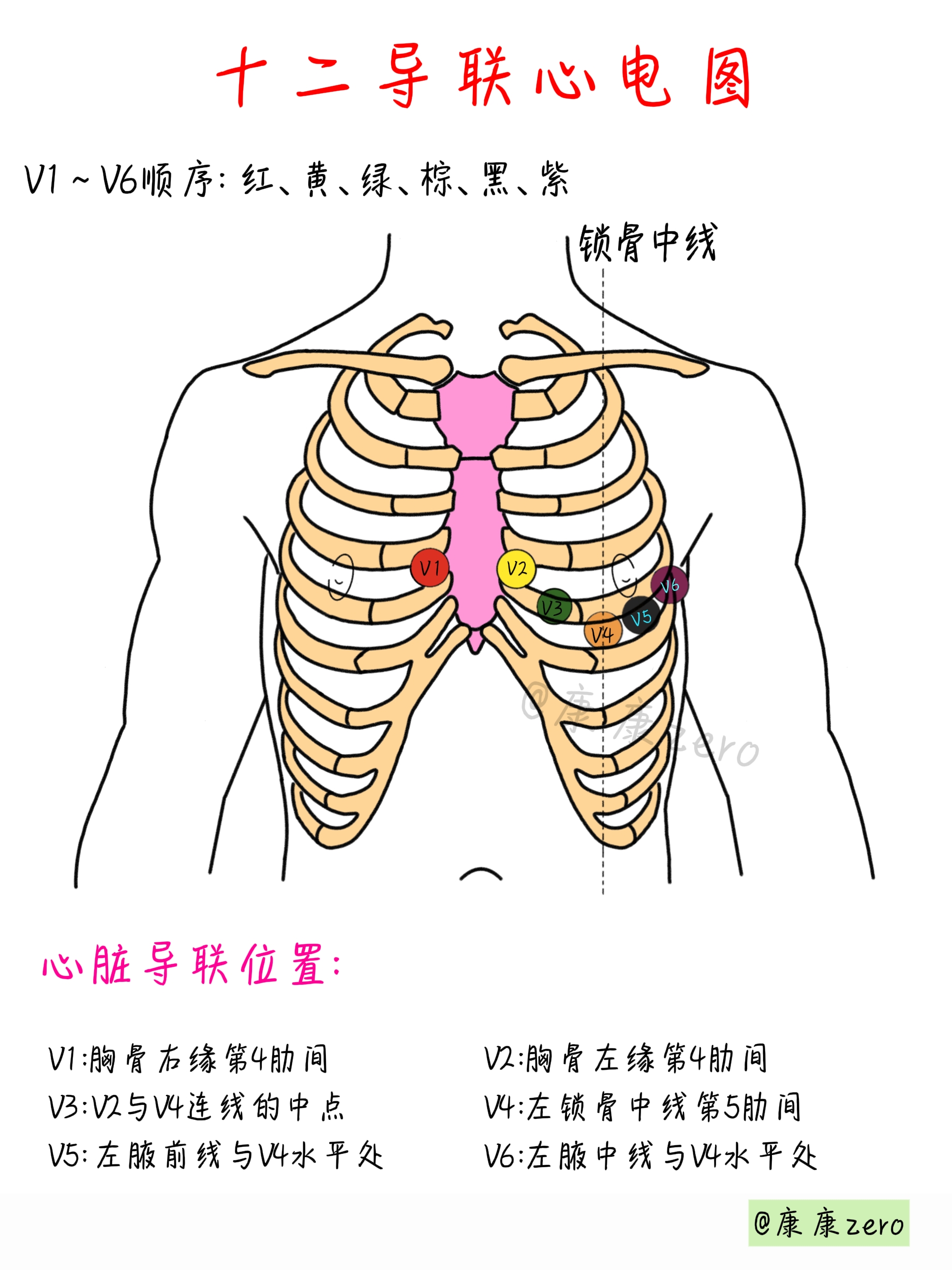 医学生笔记～十二导联心电图