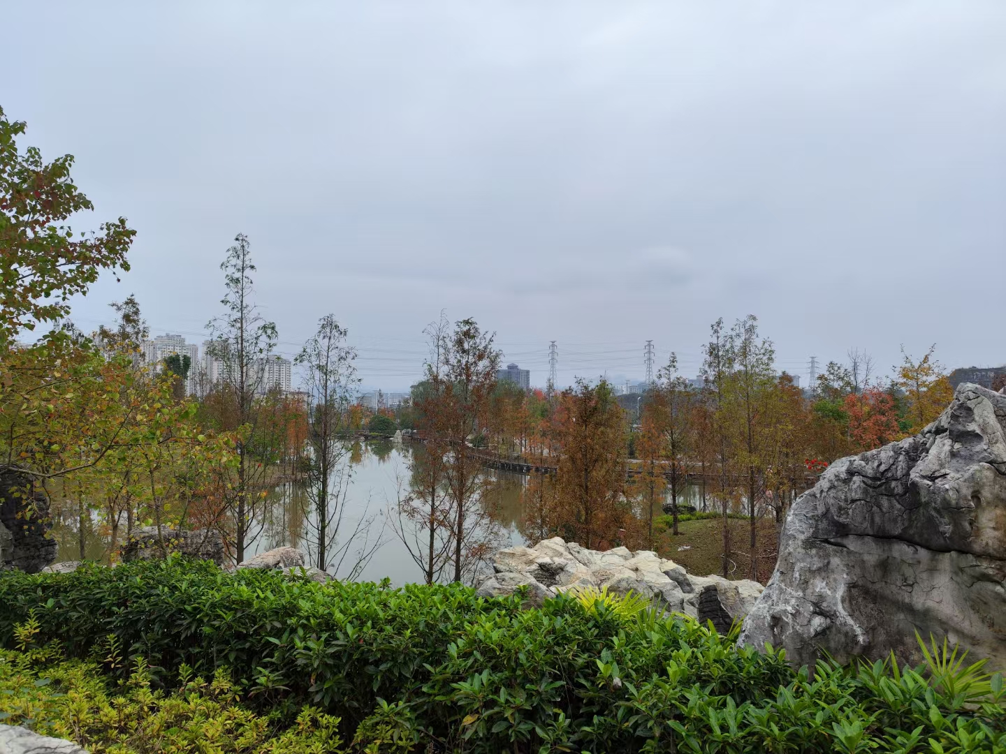 我们校长说她去参加会议,局长说都是小学老师没教好