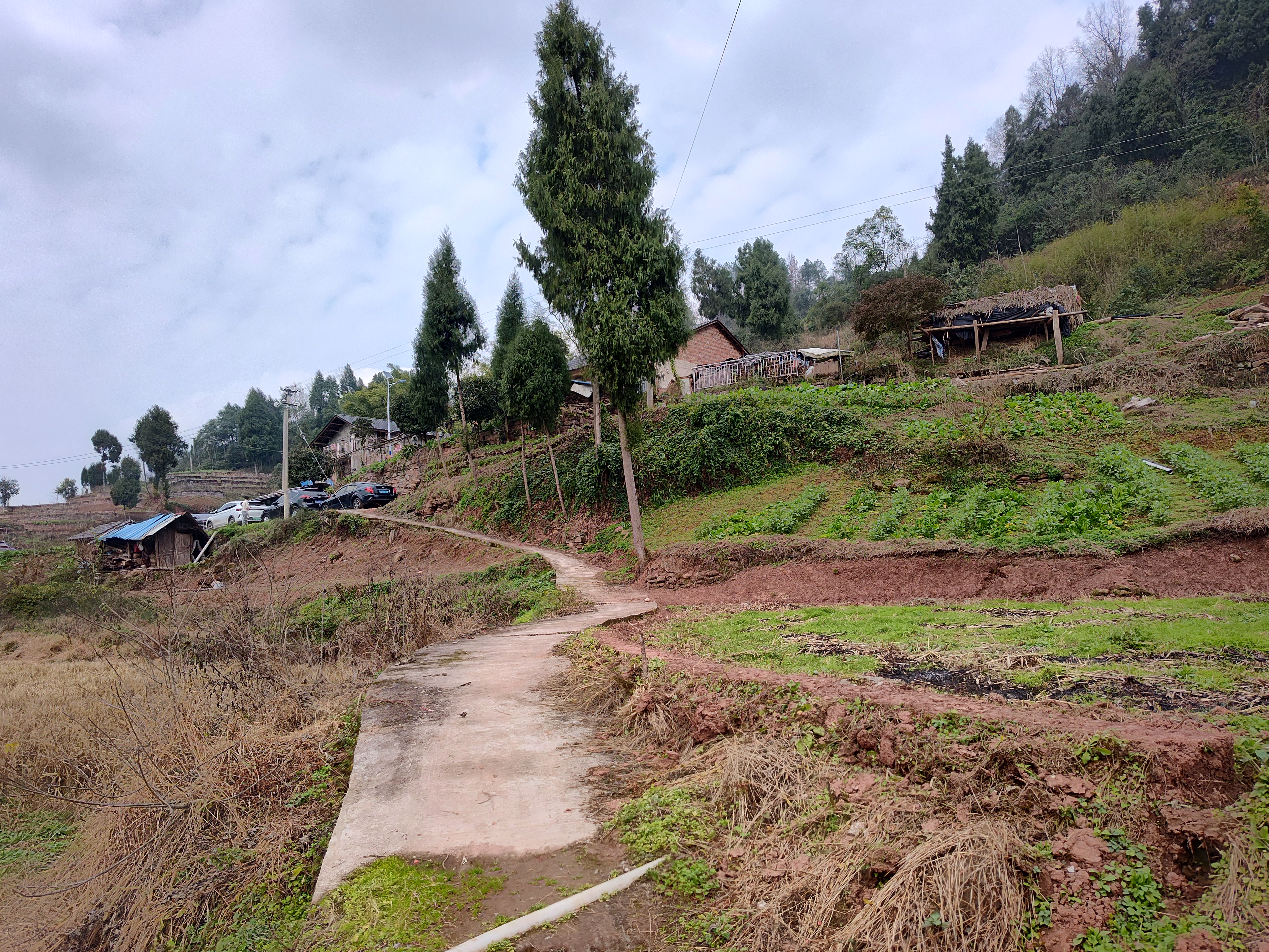 我在淘宝购物十几年了,现在套路越来越多,我经常买