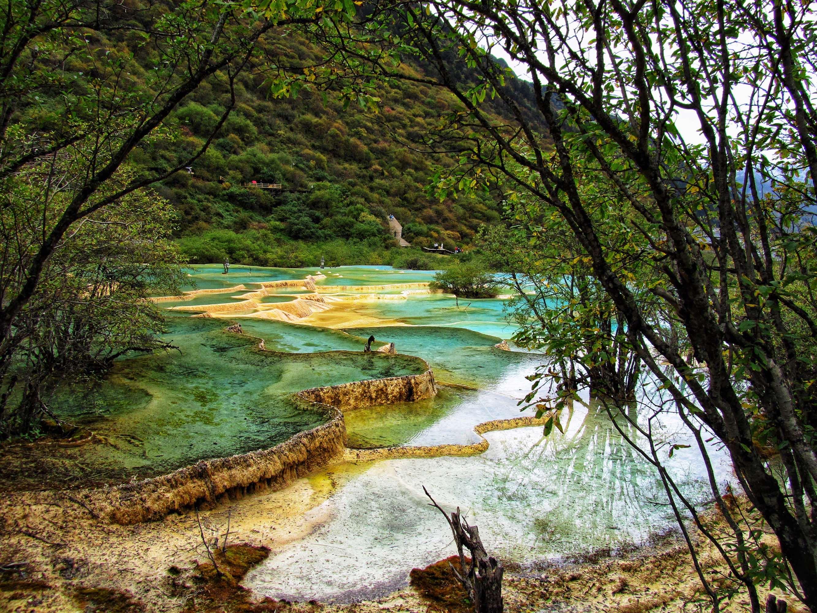 我也不想要彩礼,我想要男的又高又帅有学历还体贴