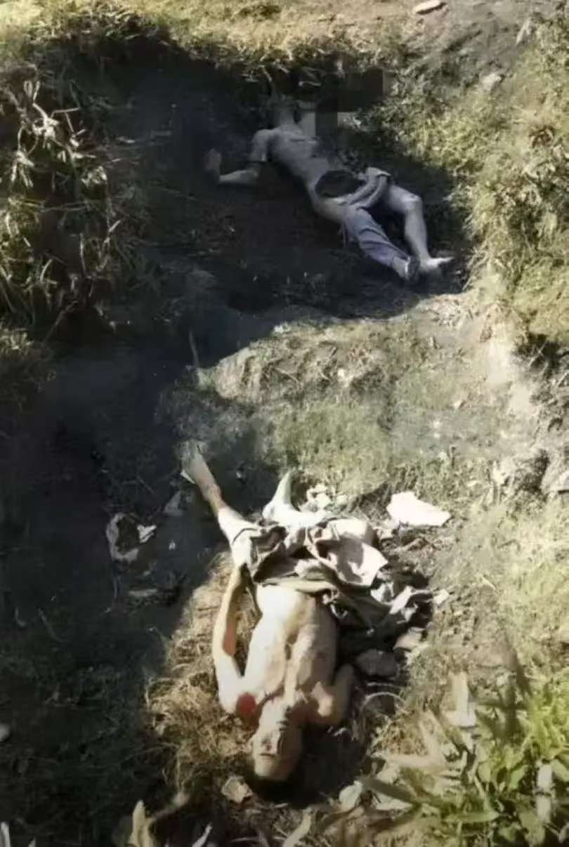 两个小鬼子的上衣已被扒去,赤裸着上身,脚上也没有了鞋子灰熊人熊吃人