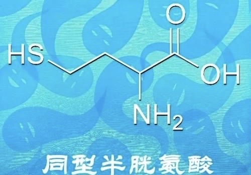 高同型半胱氨酸血症是什么?如何诊治?