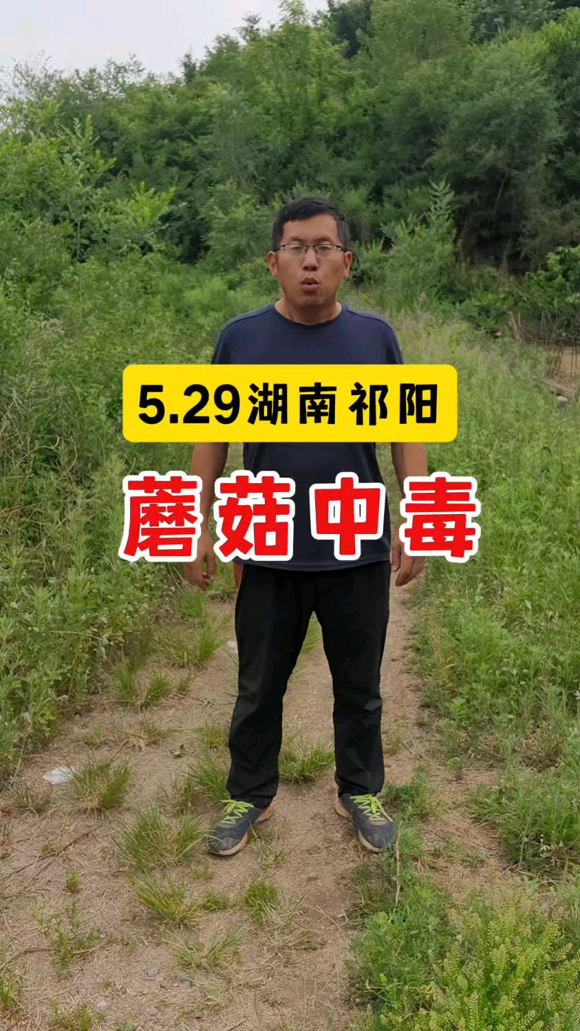 5.29湖南祁阳一家5口蘑菇中毒,灰花纹鹅膏菌