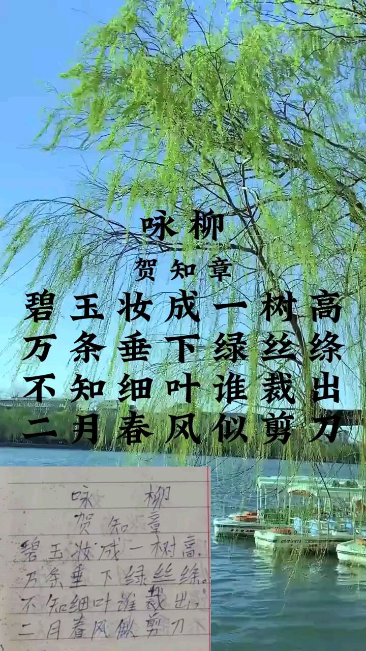 咏柳-儿童诗词读物