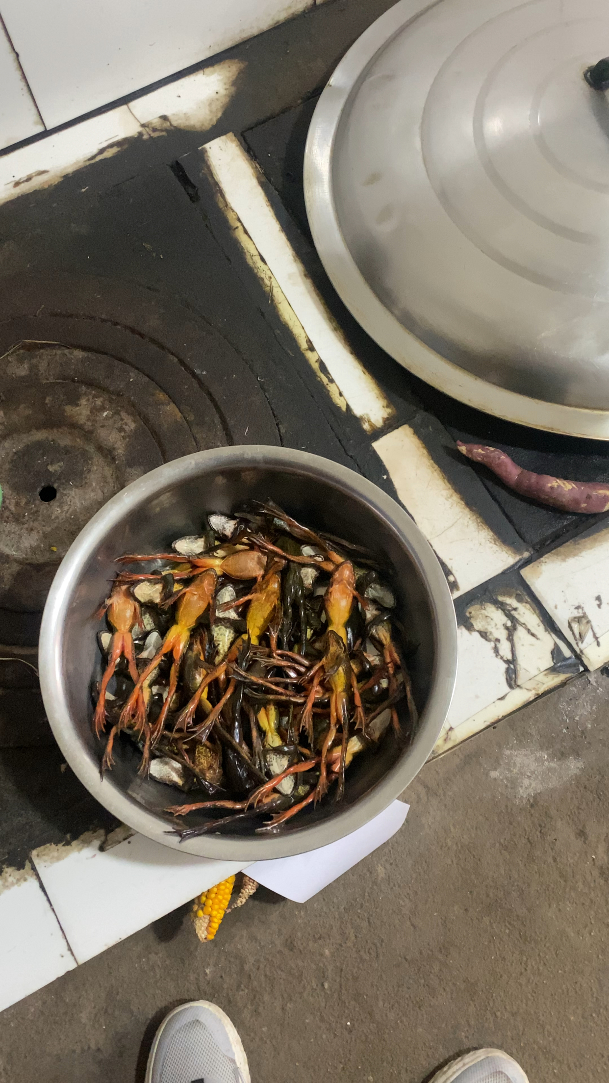 一会干蹦蛤蟆!来个不一样的吃法