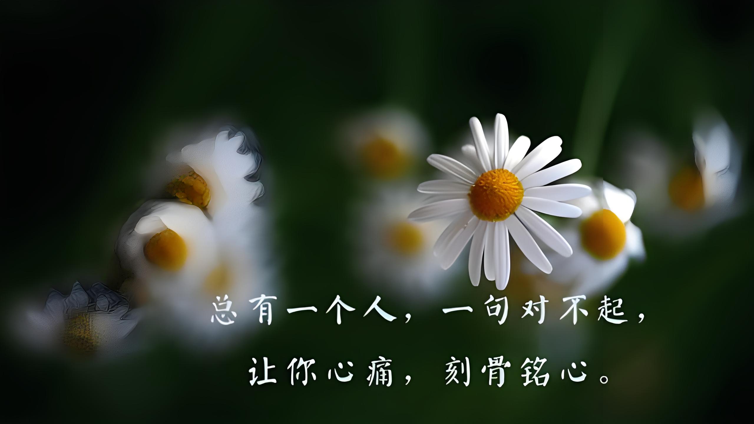 伤感 难过 配图心情不好图片伤感的图片配图难过的图片配图心情低落的