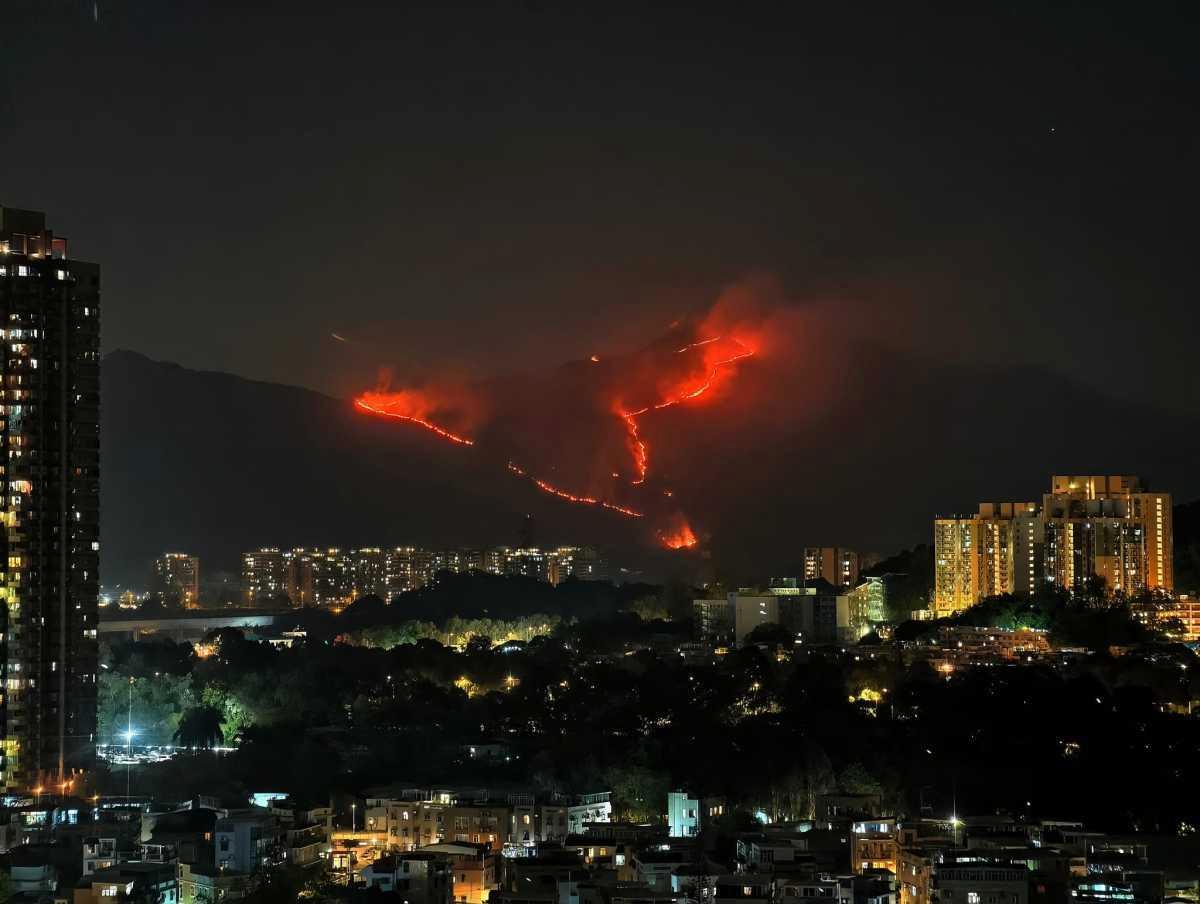 火地岛天气预报