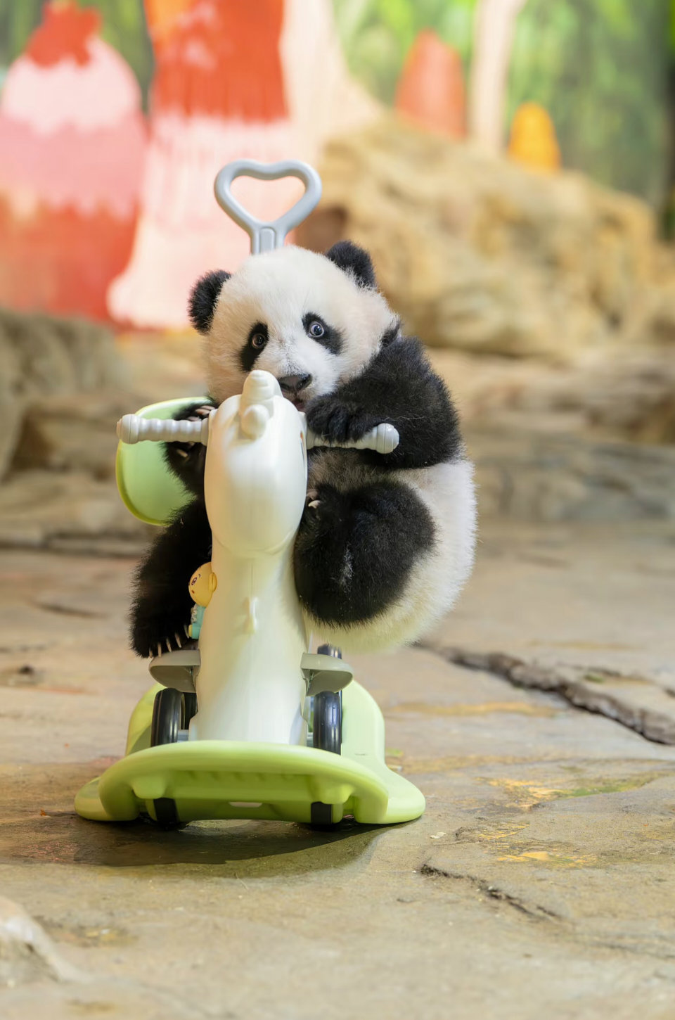 妹猪摇摇椅～可爱的天线宝宝