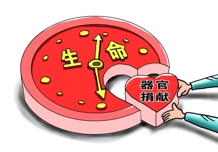 天使离去,爱在延续!三岁女孩的器官捐献,拯救三个家庭!