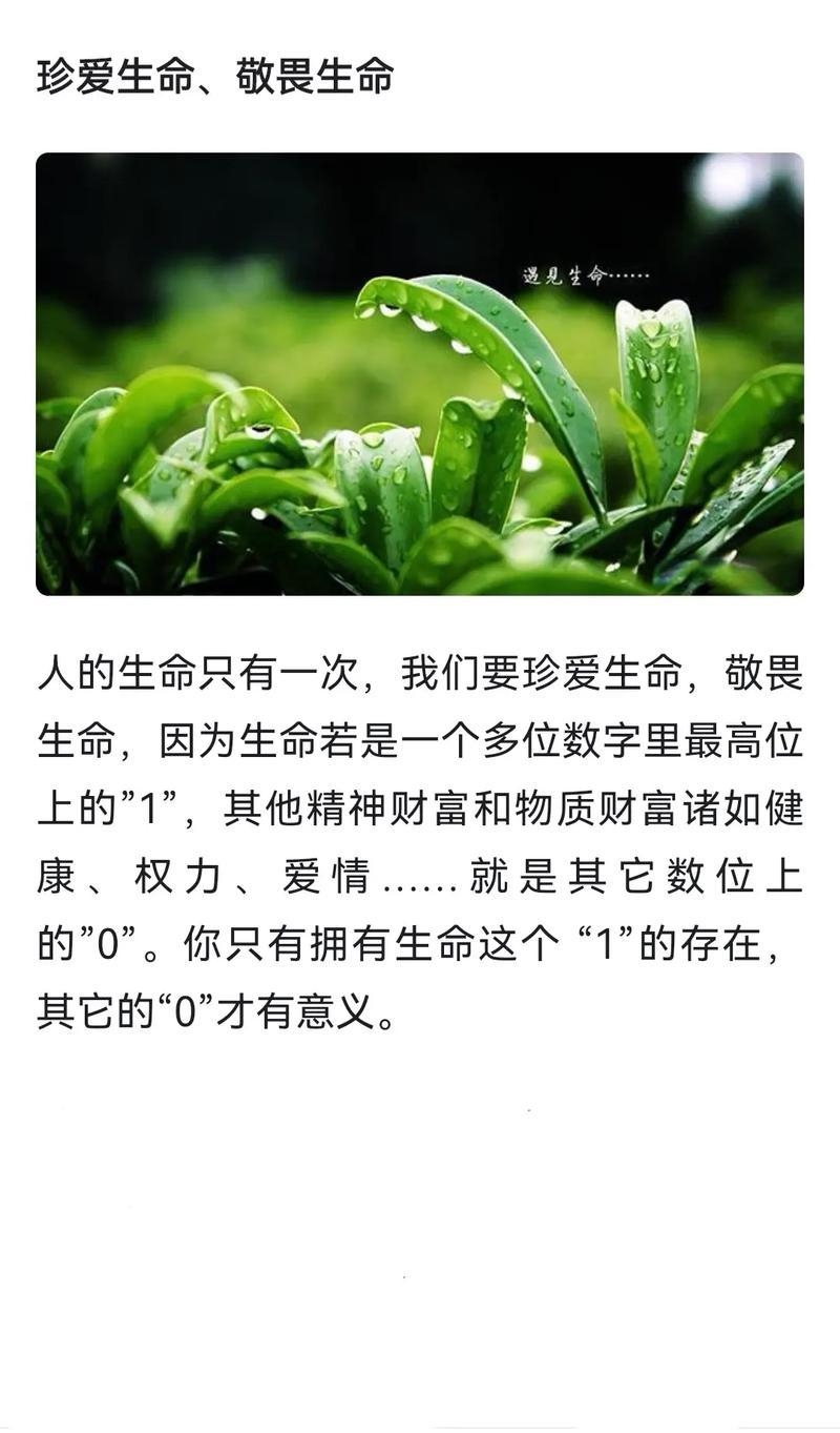 你只有拥有生命这个"