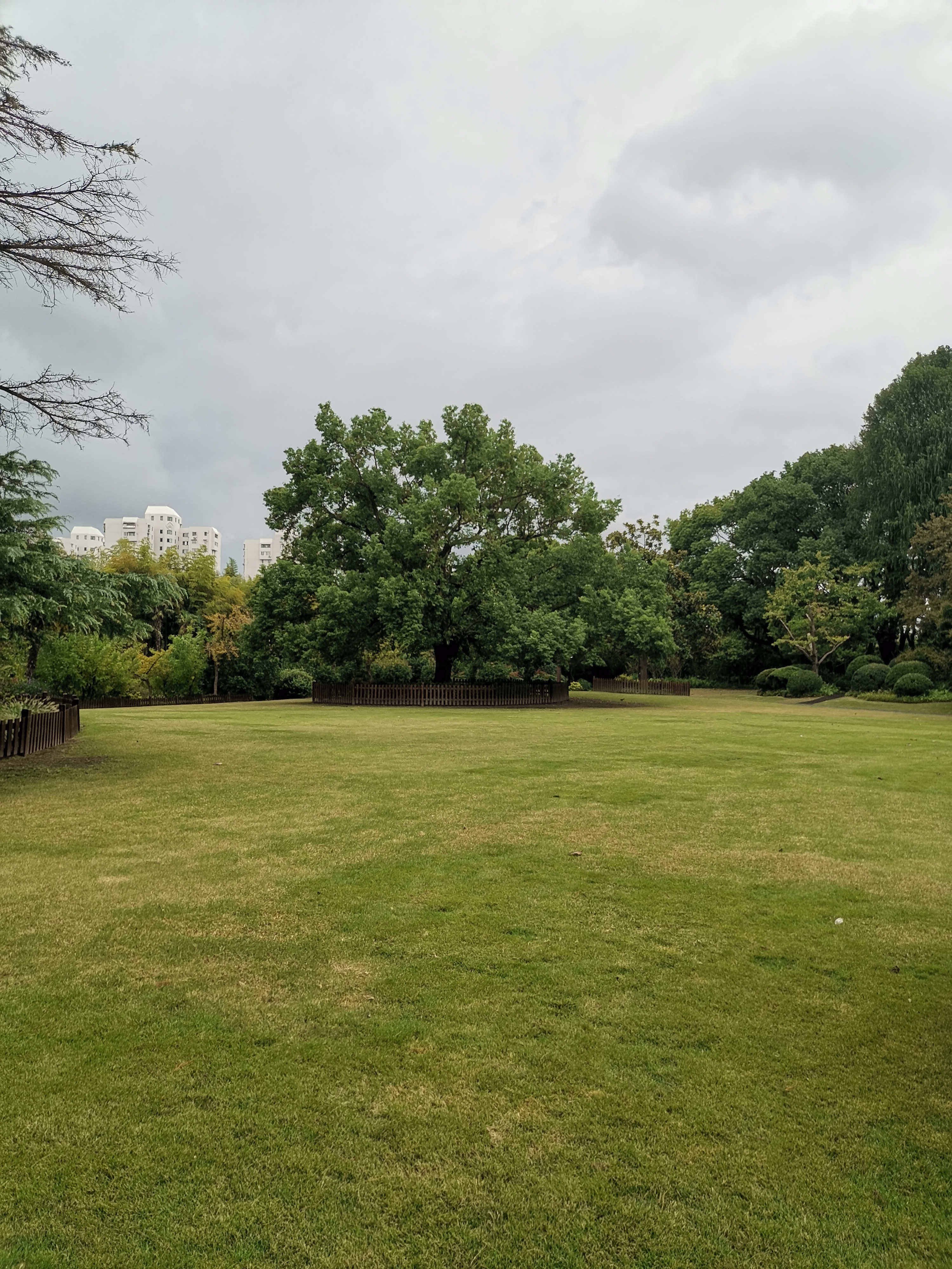 中国人对第一,唯一有着近乎血脉基因的执着