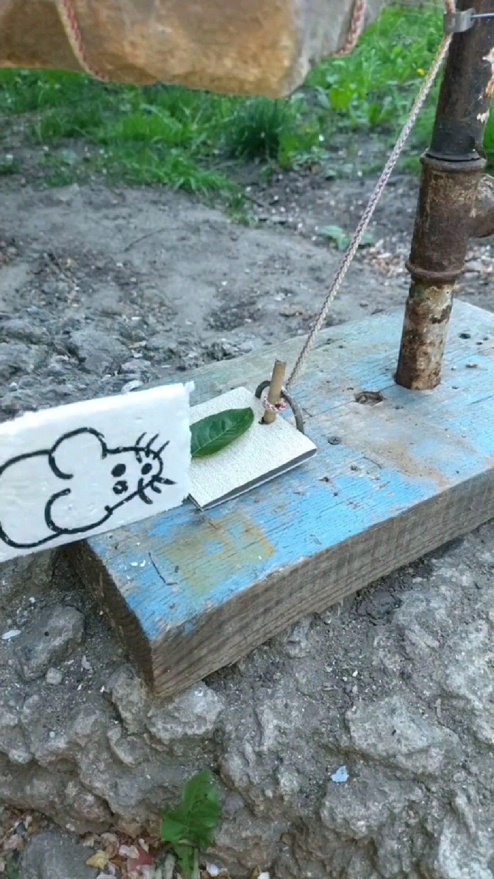 荒郊野岭独自一人!如何快速制作一个陷阱抓一只老鼠充饥?