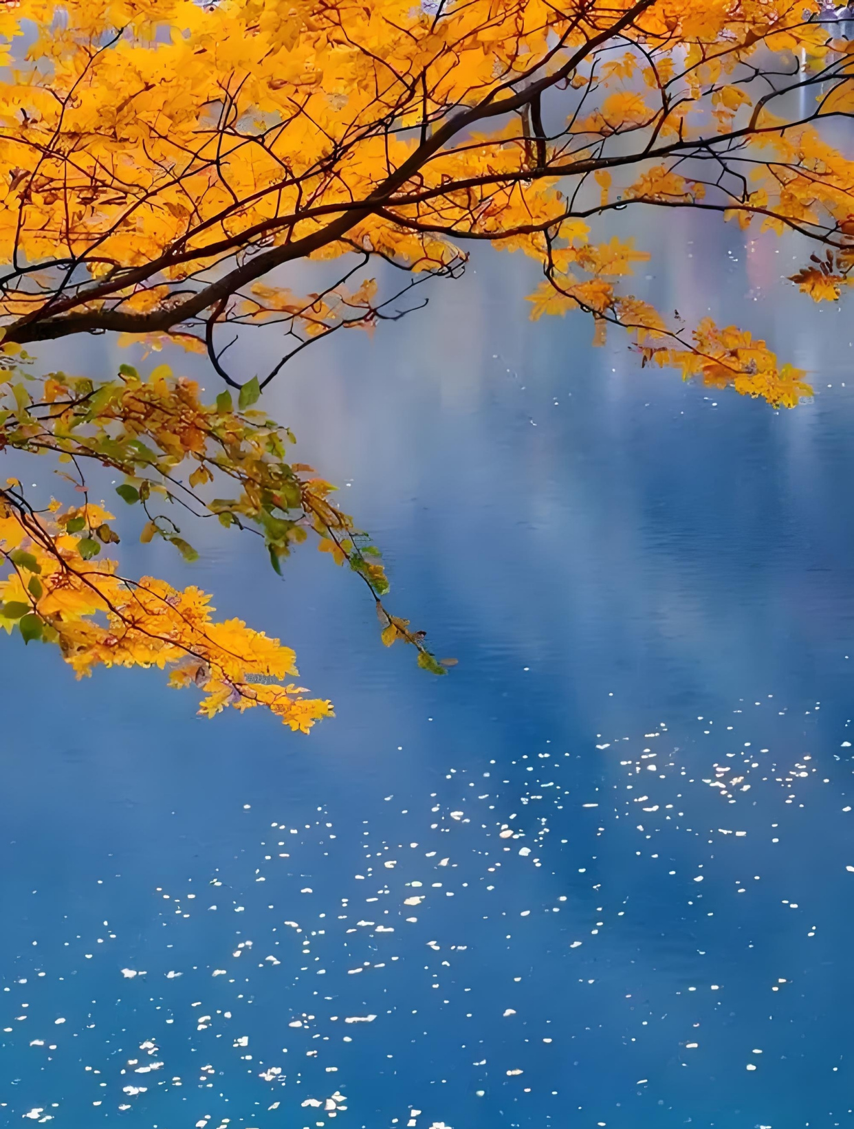 处暑,10句秋天最美的诗句,愿你幸福快乐,万事遂意