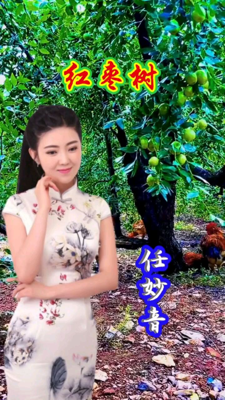 红枣树,任妙音演唱竖屏版《红枣树》旋律婉转悠扬,歌声悦耳动听