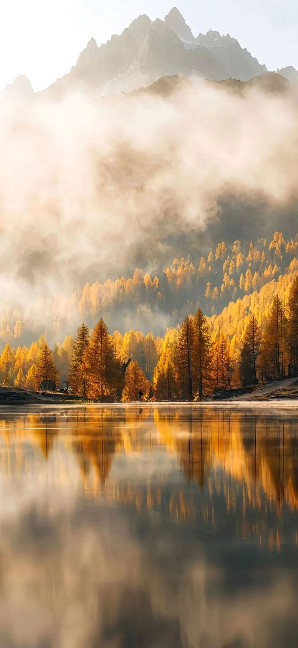 碧云天,黄叶地,最美在清秋