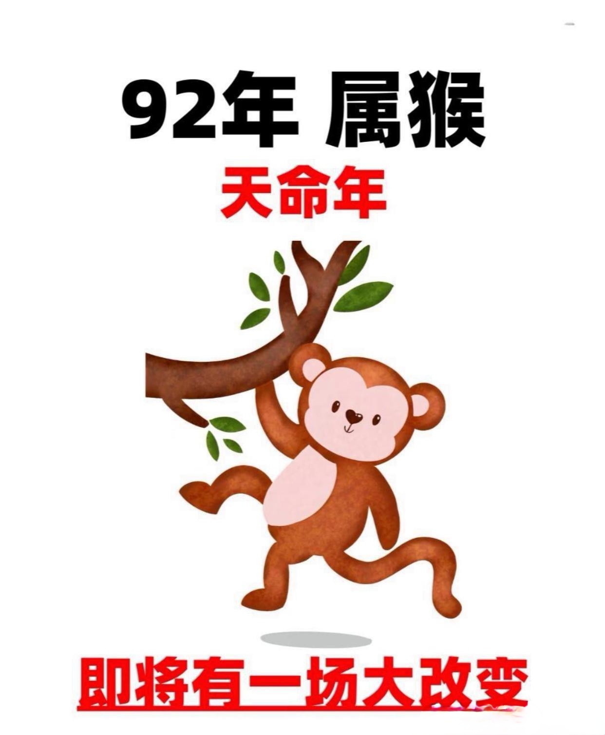生肖猴在24年运势(属猴2024运势及运程)